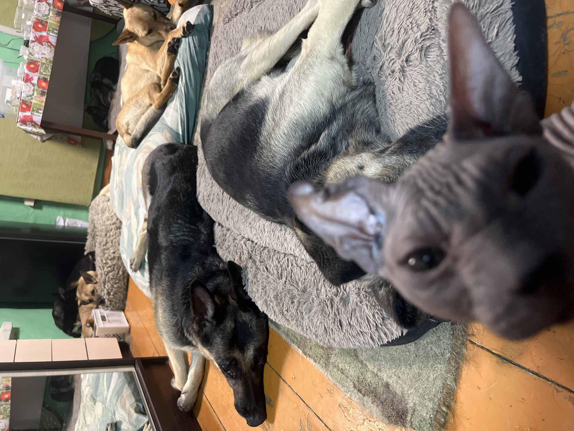 Memory