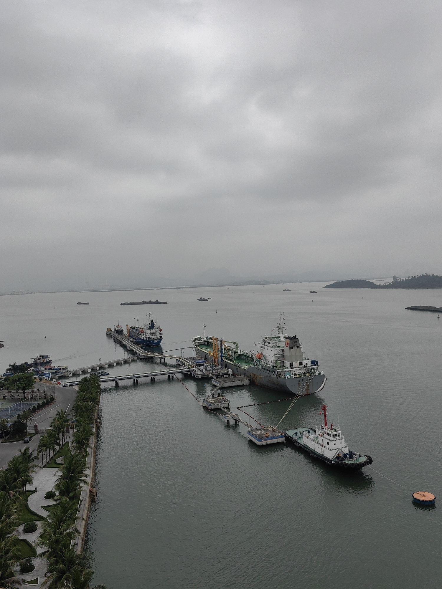 The image depicts a harbor in Hong Gai Ward, Vietnam, under an overcast sky. The scene features several ships docked at piers connected to the mainland by walkways. One large tanker is prominently positioned alongside a pier, with a tugboat assisting nearby. Additional ships are visible in the distance, scattered across the body of water. The coastline is lined with palm trees and a park. A paved road runs parallel to the coastline.