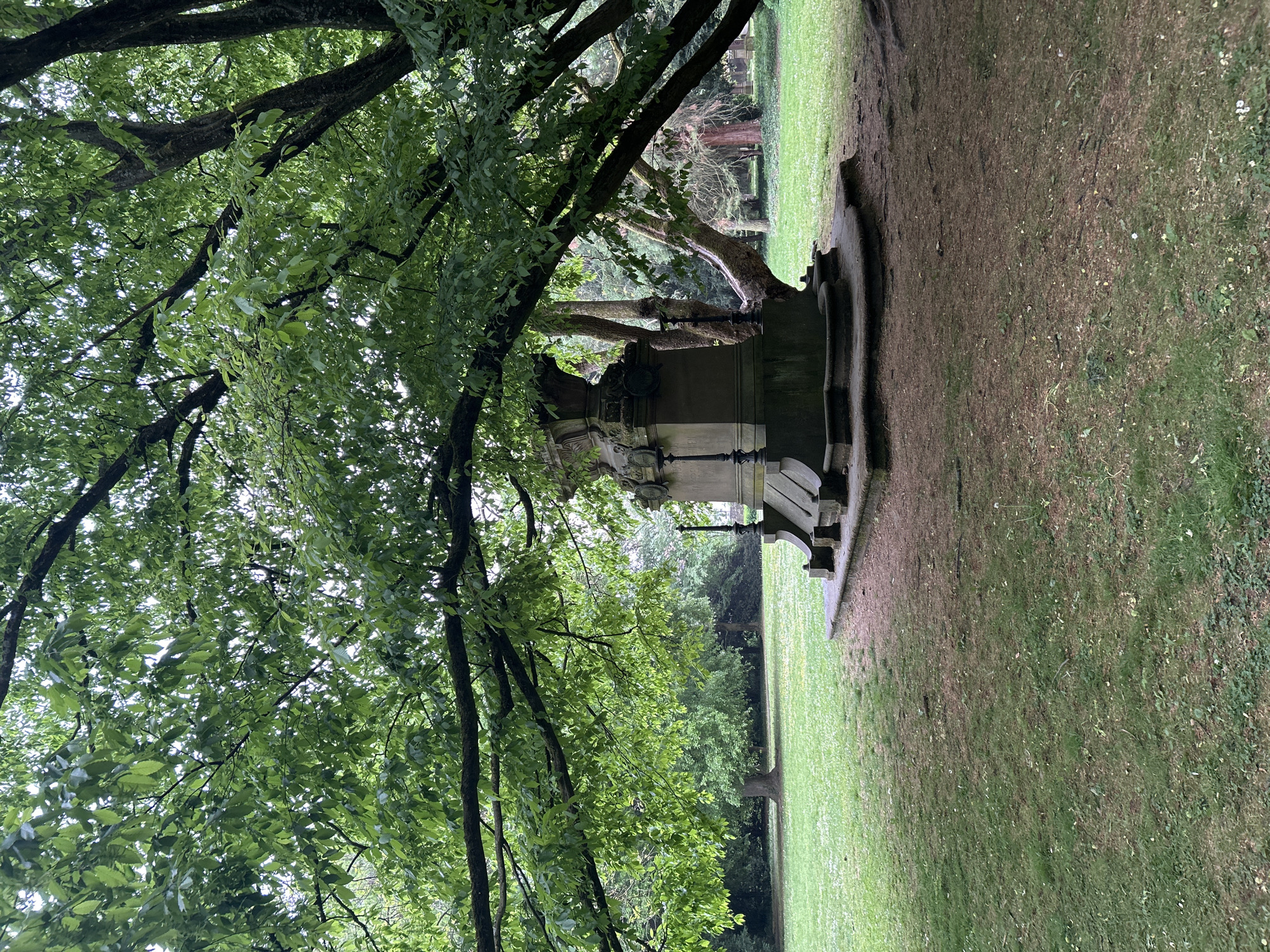 A lush tree dominates the scene, its branches extending across the frame, partially obscuring a weathered stone structure. The structure stands on a small patch of dirt and is partially surrounded by grass, suggesting a park or garden setting. In the background, a row of trees lines the horizon, offering a glimpse of a distant field of green grass. The location appears to be in the city of Unknown, Unknown, based on the assumption that this is a public park or green space.
