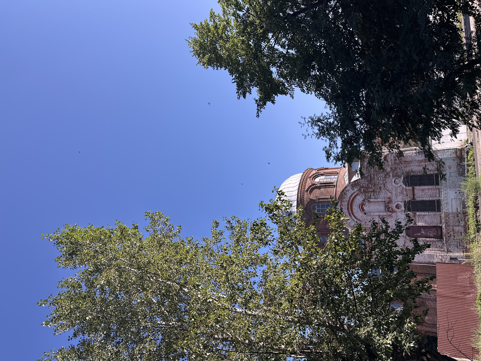An Orthodox church in Biysk, Russia, is partially visible through the leaves of large trees against a clear blue sky. The church features a white dome and red brick walls with arched windows. Several birds are flying in the sky.