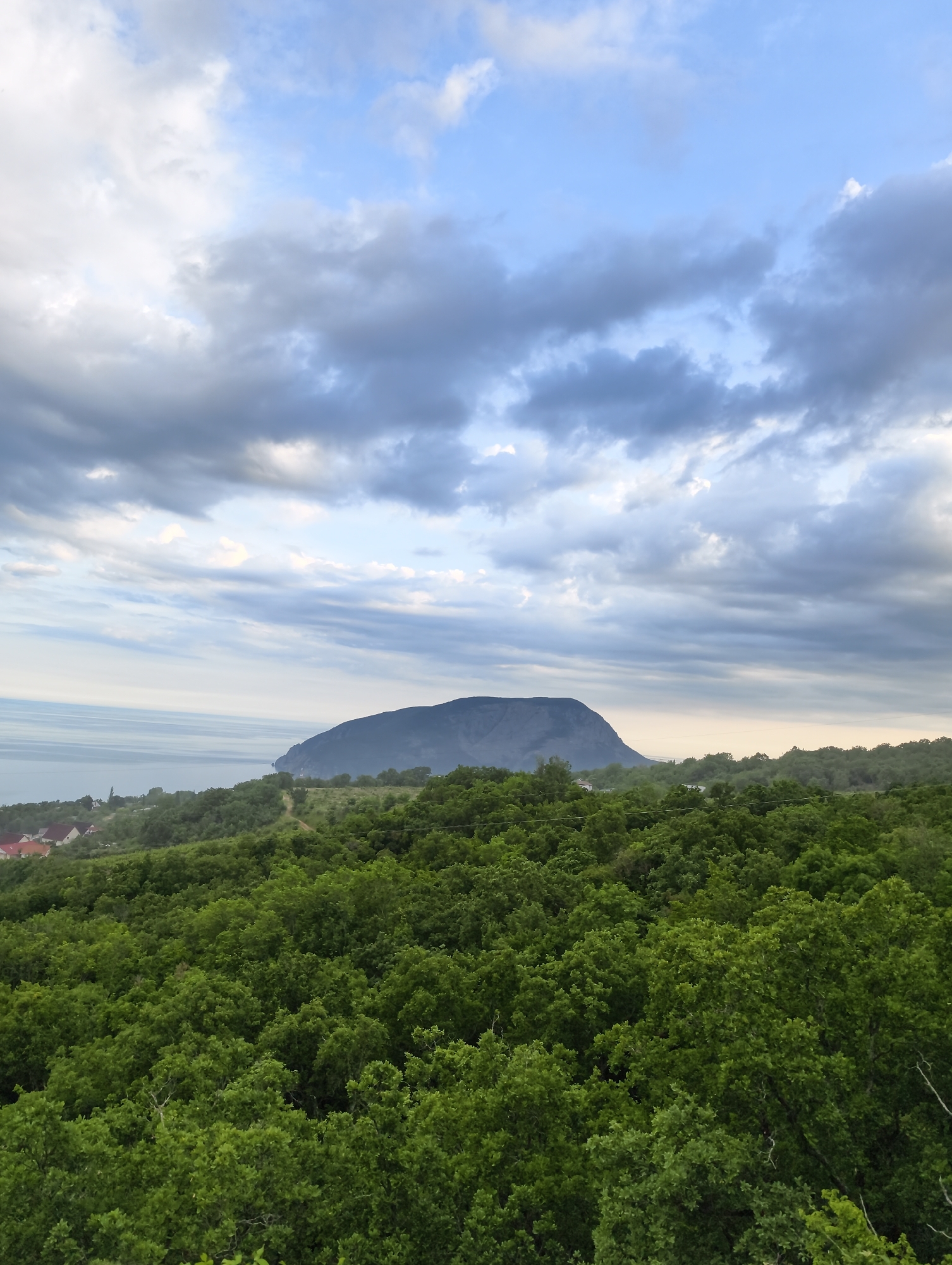 The image captures a panoramic landscape view over Kiparisnoe, Ukraine. The upper two-thirds of the frame consists of a sky dominated by a mix of dense, textured grey-blue clouds interspersed with patches of lighter blue and bright white clouds. A thin horizontal line of calm, light blue sea is visible on the left horizon. In the mid-ground, a large, dark, and somewhat rounded mountain or significant hill is prominently silhouetted against the sea and sky, positioned slightly right of the frame's vertical center. The lower half of the image is densely covered by a vibrant green forest composed of numerous deciduous trees, their canopy appearing thick and uniform. In the lower-left quadrant, several residential structures with reddish-brown roofs are partially visible amidst the forest, situated closer to the coastline. A faint track or pathway is discernible ascending a distant, less densely forested hill on the right side of the mid-ground. The lighting suggests an overcast or partly cloudy day. No individuals or specific actions are discernible.