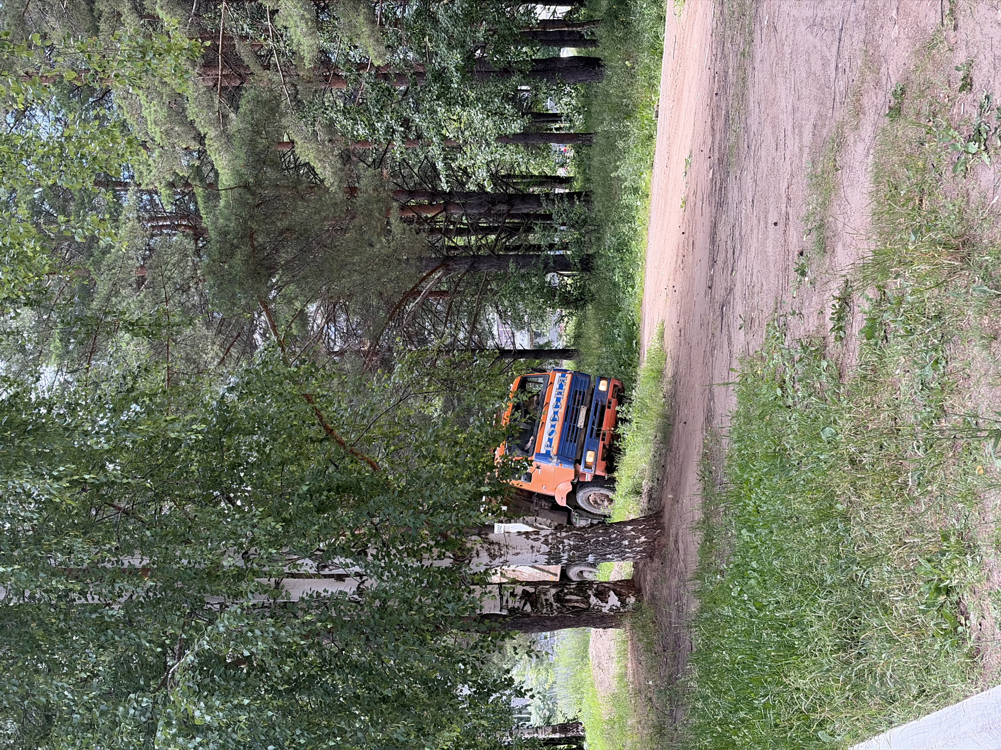 The image depicts an orange and blue truck parked on the side of a dirt road, partially obscured by trees. The truck appears to be an industrial vehicle, possibly a construction or logging truck, with its cargo bed in the upright position. The setting is a wooded area with tall pine trees and some deciduous trees, likely birch trees given their distinctive white bark. The road is unpaved, suggesting a rural or remote location. The ground is covered in grass and some sparse vegetation.
The image appears to be taken during the daytime, with natural light illuminating the scene. The foliage suggests a warm season, likely summer or late spring, as the leaves are full and green. There are no people visible in the image, and the truck seems to be stationary.
Notable details include the distinctive bark of the birch trees, the texture of the dirt road, and the vibrant colors of the truck. The truck has some visible text on its side, but it is too blurry to read. The overall impression is one of a quiet, natural setting with a utilitarian object placed within it. The location context of Chaikovsky, Russia, suggests a possible connection to industries prevalent in the region.