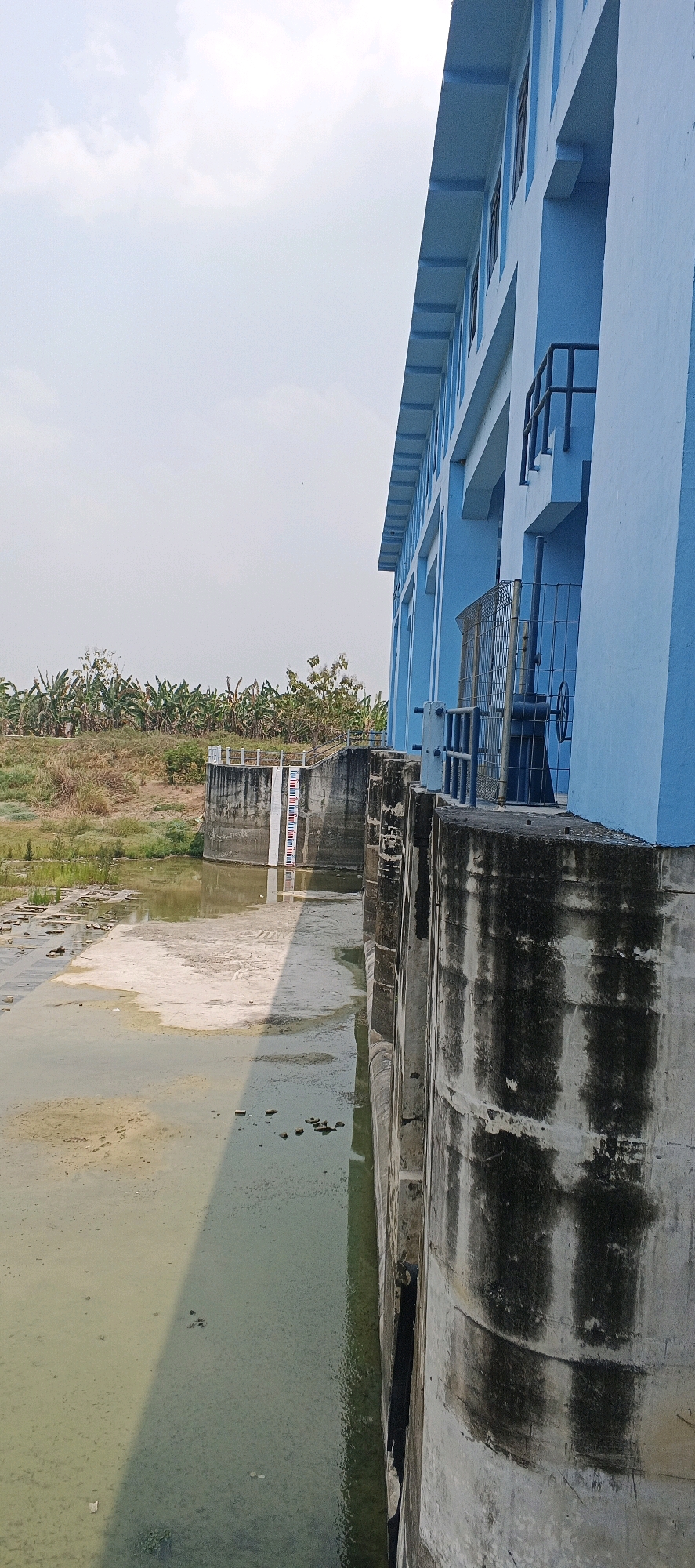The image depicts the exterior of a blue building, likely part of a dam or water control structure, in Parengan, Indonesia. The building has multiple stories with visible windows and a balcony railing. In the foreground, a concrete wall, stained with dark marks, forms the right side of the frame. To the left of the building, a body of water, appearing shallow and somewhat murky, is visible. The water's surface reflects the sky and a distinct shadow. A concrete embankment rises from the water, topped with a railing and a vertical water level gauge with red and white markings. Beyond the embankment, a dense cluster of banana trees and other vegetation lines the horizon under a pale sky with scattered clouds. The scene appears to be a functional infrastructure area, possibly a reservoir or part of a larger water management system.
