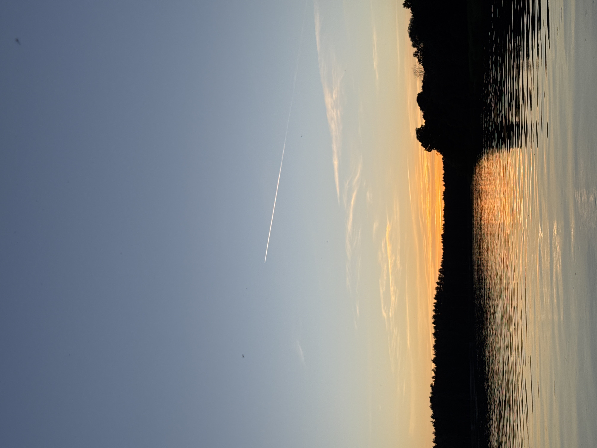 A vertical, full-frame shot captures a tranquil scene at sunset over the Gauja River in Carnikava, Latvia. The sky transitions from a pale blue at the top to a warm orange glow near the horizon, marked by wispy clouds and the distinct contrail of an airplane. Silhouetted against the colorful sky is a dense line of evergreen trees forming the riverbank. The water's surface is calm, reflecting the vibrant hues of the sunset and the dark outline of the trees, creating a mirror-like effect with gentle ripples disturbing the reflection. No people or animals are visible.