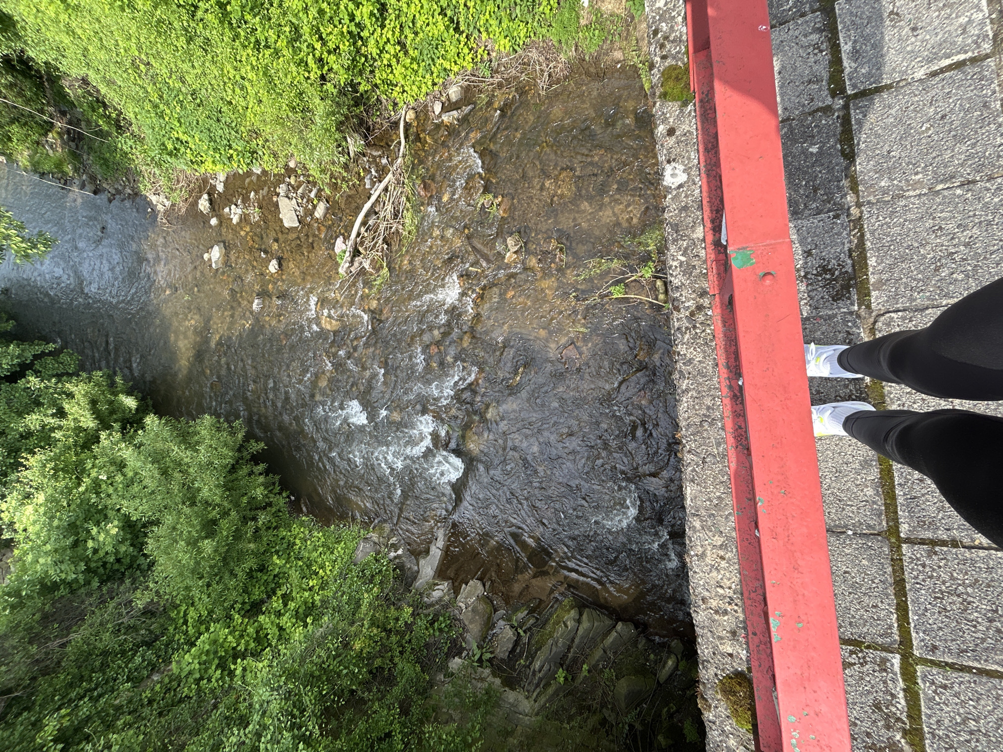 A photograph taken from a high vantage point, likely a bridge, overlooks a flowing creek or river. The creek bed is visible with rocks and some woody debris. Lush green vegetation flanks both sides of the waterway. On the right side of the image, the edge of the bridge is prominent, featuring a red railing, a concrete surface, and the lower portion of a person's legs dressed in black leggings and white sneakers. The overall scene suggests a natural environment, possibly in a park or less urbanized area.