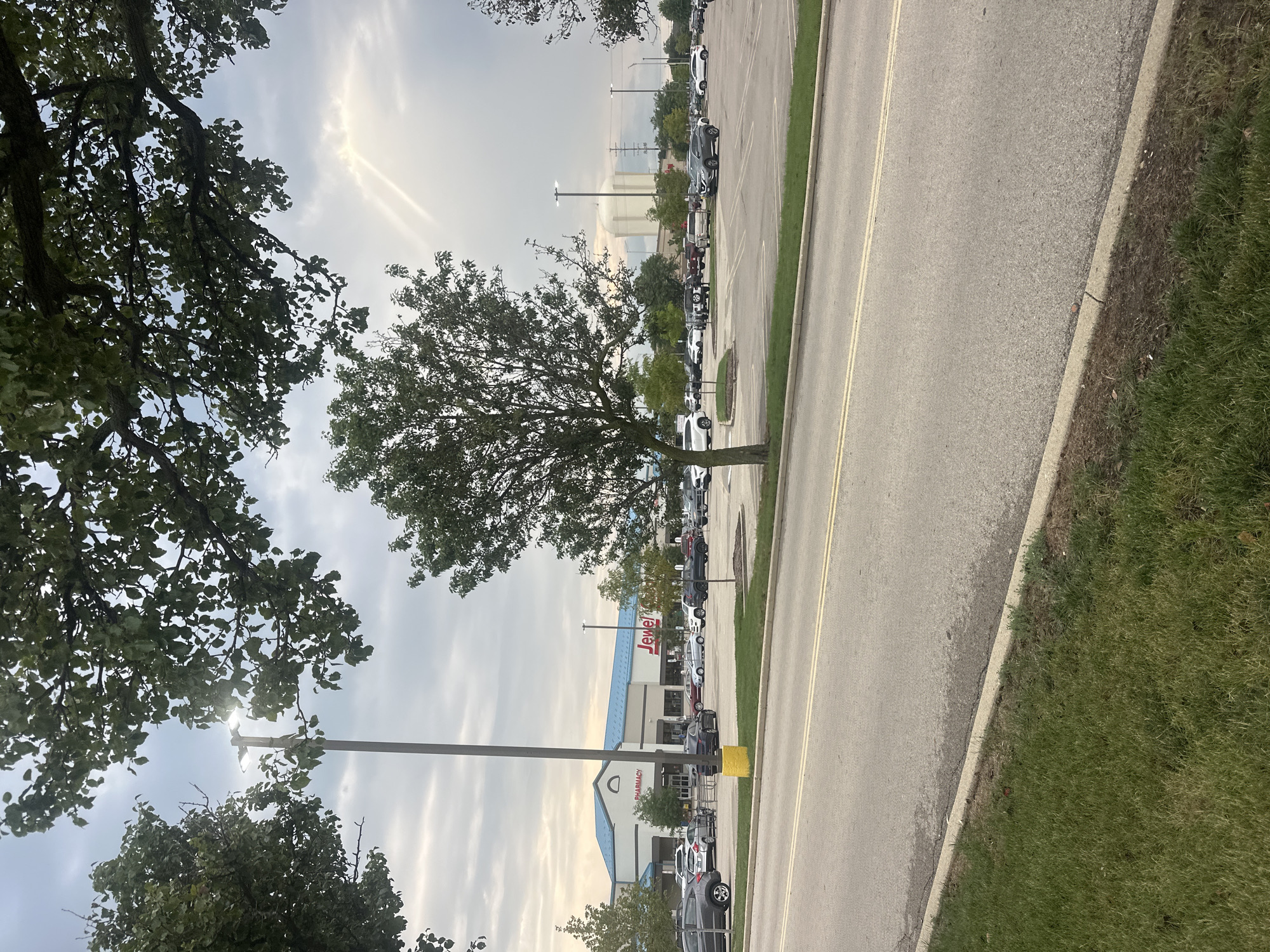This is a medium-shot, eye-level, outdoor, daytime photograph taken in Schaumburg, Illinois, United States of America. The image captures a wide view of a parking lot in front of a Jewel-Osco grocery store. The store's exterior is visible, with its distinctive light blue roof and white facade. The Jewel-Osco logo is prominently displayed in red lettering on the right side of the building. A "PHARMACY" sign is also visible on the left side of the entrance.
The parking lot is filled with various vehicles, including sedans, SUVs, and trucks. A lone figure is seen walking towards the store entrance. A tall, gray lamppost stands in the middle of the parking lot, with its lights on, casting a bright glare. Two mature trees with green foliage frame the top of the image, their branches reaching over the scene. In the background, a large white water tower is visible, a common landmark in suburban areas. The sky is overcast with hints of sunlight breaking through, creating a soft, diffused light across the scene. A paved road with yellow lane markings runs in the foreground, separating the viewer from the parking lot. Lush green grass borders the road and parking lot.