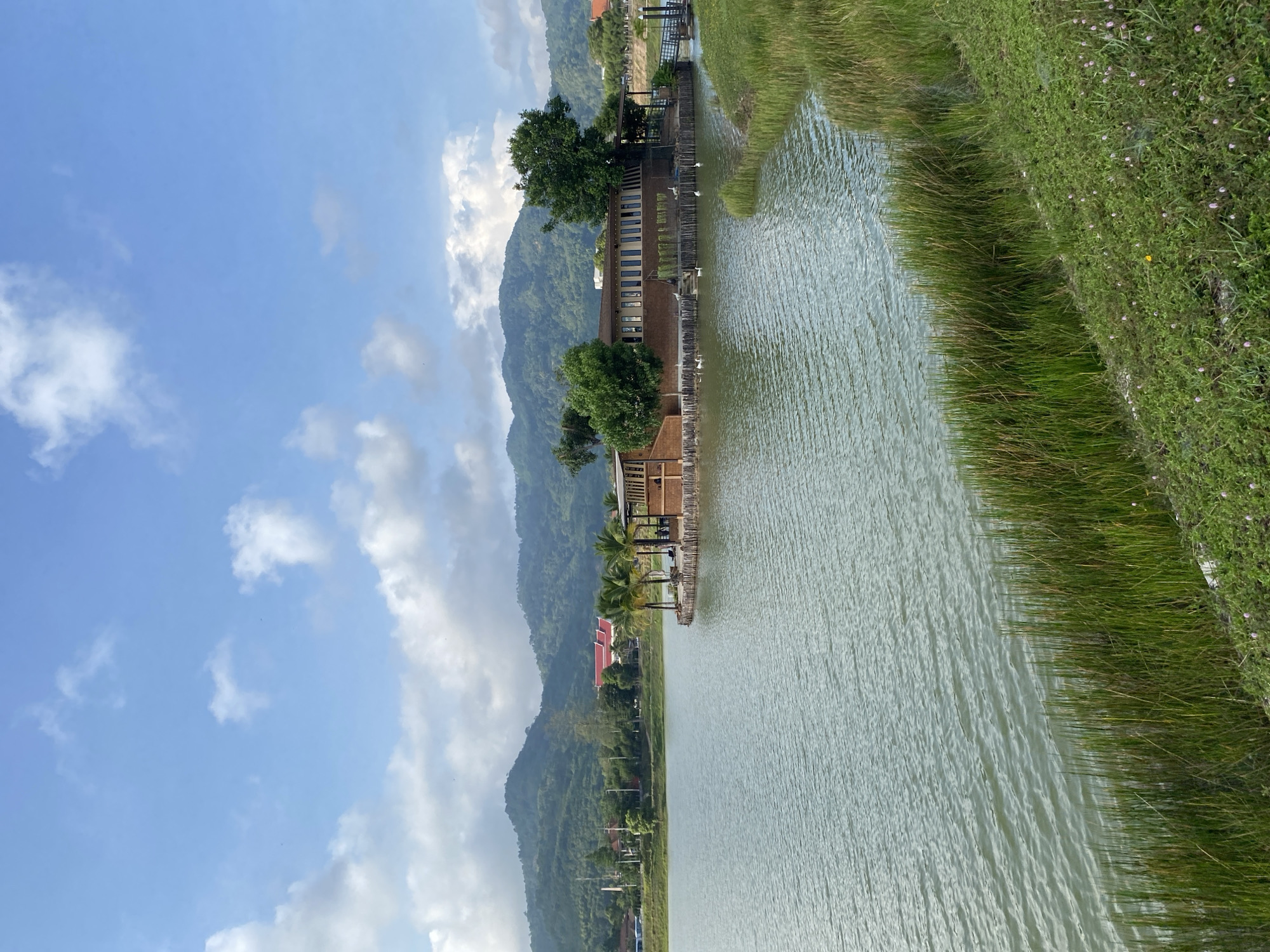 This image presents a serene natural landscape in what appears to be a tranquil lake or large pond, located in Choeng Thale, Thailand. The body of water dominates the left and central portions of the frame, its surface showing gentle ripples under a clear sky.
On the right side, a vibrant green bank slopes down to the water's edge, densely covered with various grasses and dotted with small pink flowers, and a single yellow bloom. Taller reeds or marsh plants grow closer to the waterline. Across the expansive water, on the far bank, several buildings are visible. These structures, featuring wooden elements and large windows, appear to be part of a resort or waterfront establishment, with some having decks or platforms extending over the water. Green trees, including what look like palm trees, are interspersed around these buildings.
Behind the structures, a majestic range of verdant, forested mountains rises, forming a dramatic backdrop to the scene. The sky above is a brilliant blue with scattered, fluffy white cumulus clouds, particularly on the upper right, indicating fair weather. The bright and clear lighting suggests it is daytime, likely late morning or early afternoon. The scene conveys a sense of peacefulness and natural beauty. No specific activities or people are visible, and there is no discernible text in the image.