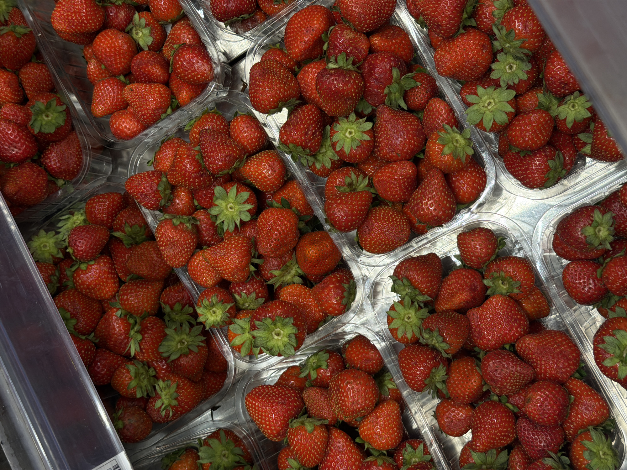 The image shows several clear plastic containers filled with fresh strawberries. The strawberries are red and appear ripe, with green leafy tops. The containers are arranged in rows, likely on a shelf in a store or market. The lighting suggests an indoor environment. The context of the city of Perm, Russia is not visually apparent in the image itself. There are no people or actions depicted.