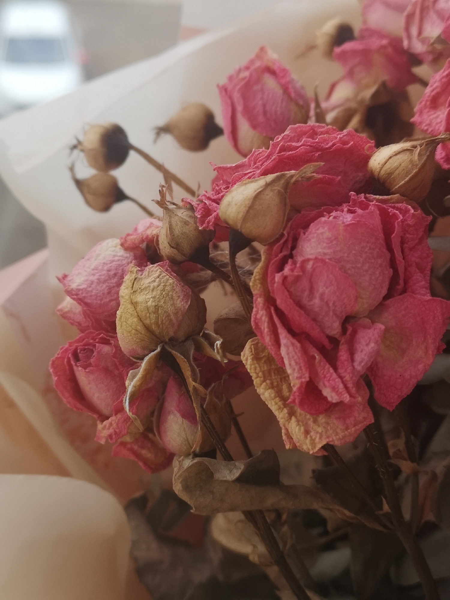 The image shows a close-up of a bouquet of dried pink roses and seed pods, wrapped in white and peach-colored paper. The roses have a textured, withered appearance with some brown discoloration on the edges of the petals. The stems are visible, appearing dark and thin. The seed pods are small, brown, and rounded, attached to thin stems. The background is blurred, with a glimpse of a white vehicle visible through a window or reflective surface. The location is specified as Chaikovsky, Russia.