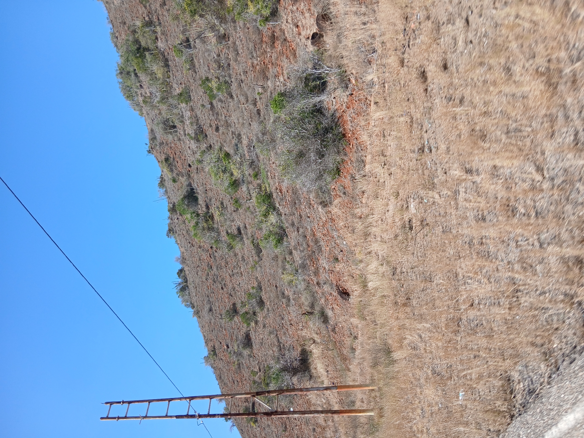 The image depicts a hillside in Pedro González, Venezuela, primarily covered in dry, brown vegetation. Some areas show sparse green shrubs or trees. A utility pole with a horizontal ladder-like structure is visible in the foreground, with a power line extending upwards toward the clear blue sky. The ground level near the base of the hill appears to be a grassy or dirt area.