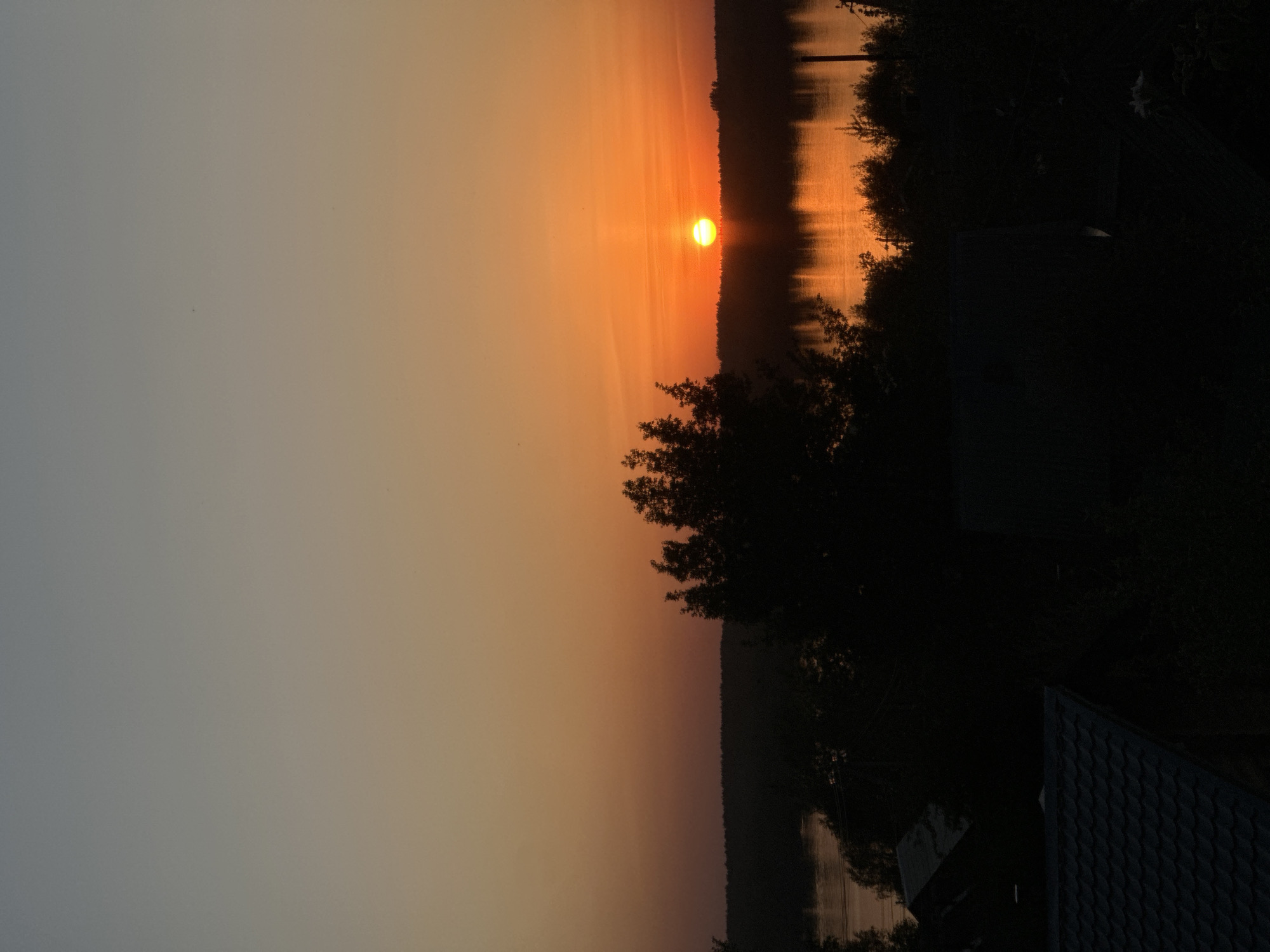 A landscape photograph shows a sunset over water, possibly a lake or river. The sky is gradated from a light grey to a vibrant orange and yellow at the horizon where the sun is setting, casting a bright reflection on the water's surface. The sun appears as a glowing orange orb. The shoreline is defined by dark silhouettes of trees and foliage, creating a distinct contrast with the colorful sky. In the foreground, a darkened tree and a roof are visible. The image composition is vertical, suggesting a viewpoint from slightly above ground level, looking out towards the water and sunset. The location is Chaikovsky, Russia.