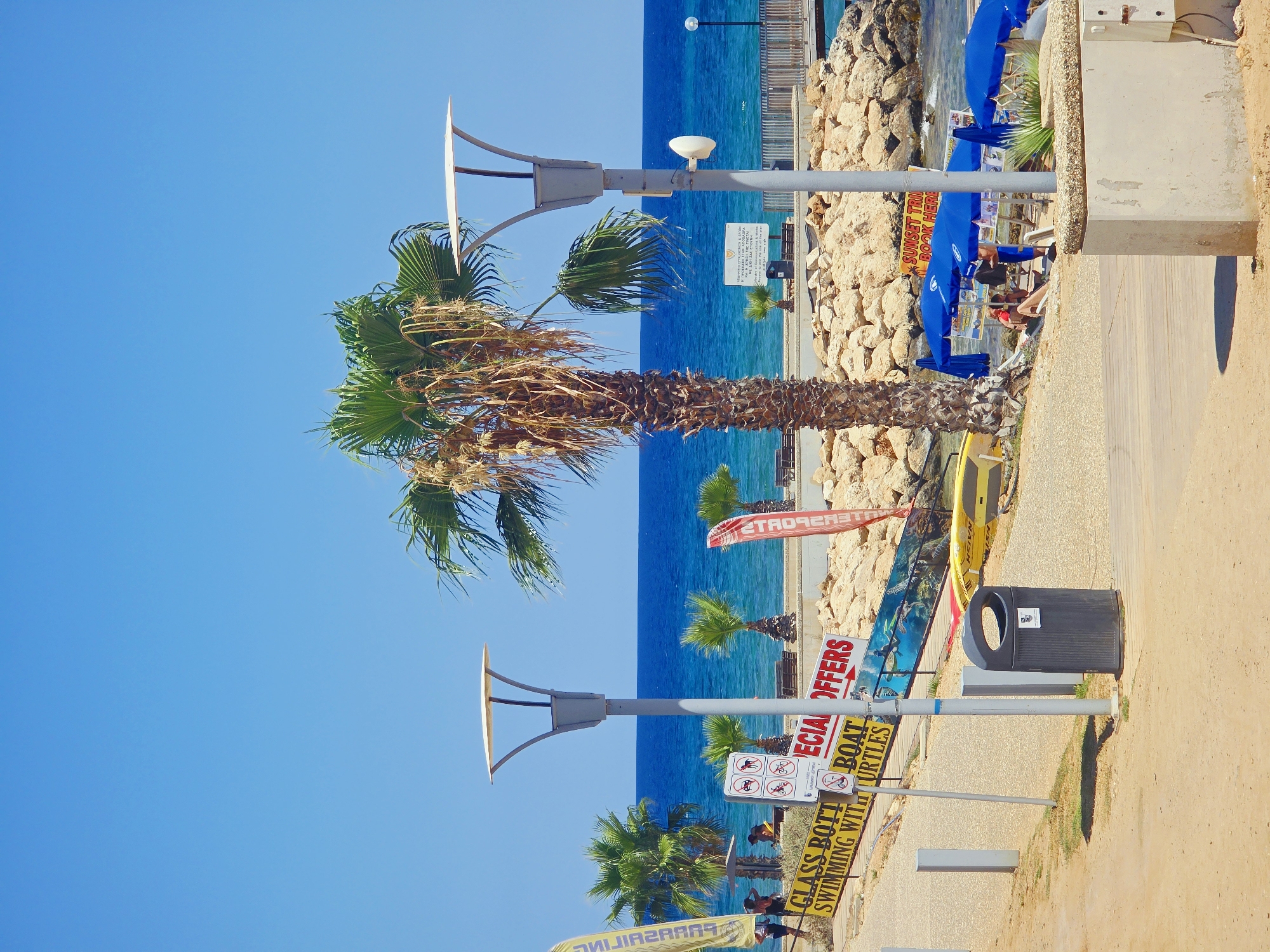 This is a photograph taken on a sunny day at a beach in Protaras, Cyprus. The foreground shows a sandy path, with a wooden walkway visible on the right. A dark gray trash receptacle stands next to a lamppost. Several signs are posted, including one with yellow lettering that reads "GLASS BOTT SWIMMING WITH TURTLES," and another with red lettering that says "SPECIAL OFFERS."
In the midground, a large palm tree stands prominently. Beyond it, the turquoise waters of the Mediterranean Sea are visible, with a rocky breakwater separating the beach from the sea. Small palm trees and beach umbrellas are scattered along the shoreline. Some people are visible sitting or standing on the beach, some under the umbrellas. A yellow surfboard is leaning against a structure. A short pier extends into the water on the right side of the image.
The background is dominated by the clear blue sky and the vast expanse of the sea. The overall scene depicts a lively beach environment with various tourist activities.
