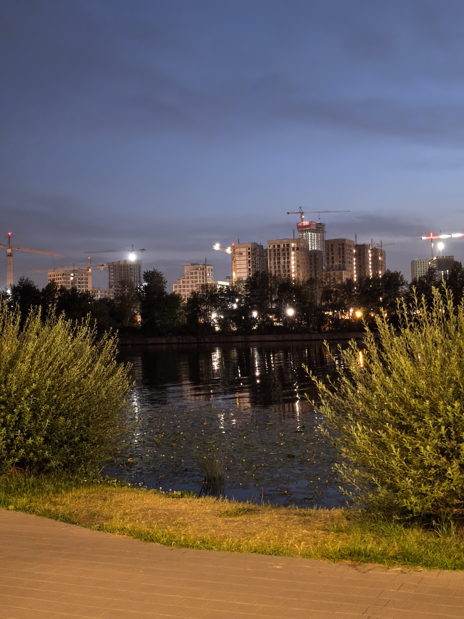 The image depicts a twilight scene of a residential construction site with multiple high-rise buildings under construction, characterized by the presence of numerous cranes. The buildings are illuminated from within, suggesting that work may be ongoing or that lights are on for security. In the foreground, a body of water, possibly a river or canal, reflects the lights from the construction site. The water is dotted with what appear to be lily pads. Lush green bushes frame the left and right sides of the image, with a paved walkway in the lower foreground. The sky above is a deep blue, transitioning from lighter hues near the horizon. The overall impression is one of urban development at dusk. This scene is characteristic of the rapidly developing areas of Moscow, Russia, particularly along its waterways where new residential complexes are frequently erected.