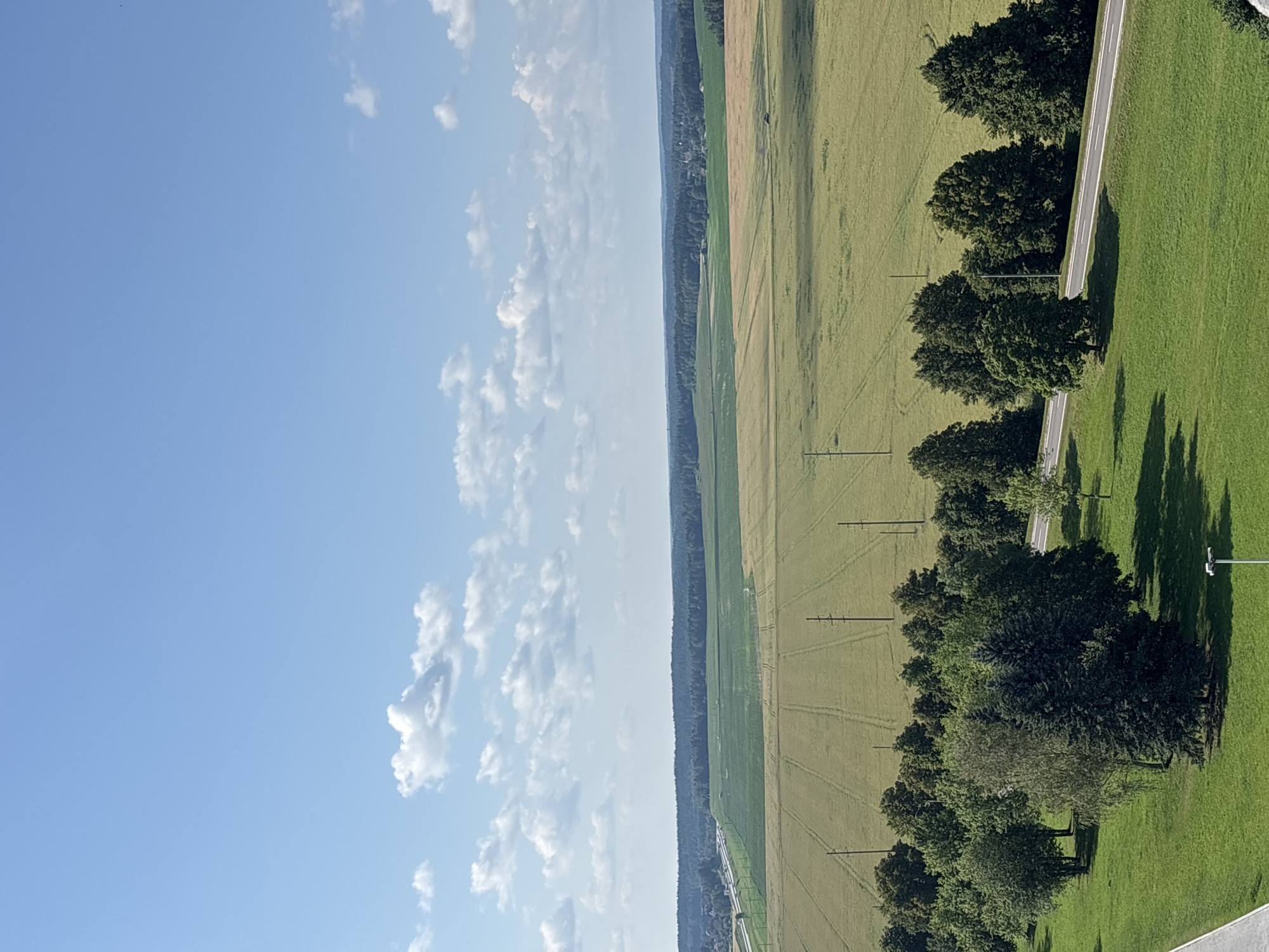 This is a high-angle, eye-level photograph of a rural landscape under a clear blue sky with scattered white clouds. The foreground is dominated by a well-maintained green lawn, with a paved walkway visible on the far left. A cluster of various trees, including deciduous and coniferous varieties, are situated on the right side of the lawn. Beyond the trees, a paved road runs horizontally across the image, with more trees lining its far side.
The mid-ground features several agricultural fields. The field immediately behind the trees appears to be a crop of wheat or barley, with visible rows indicating cultivation. Further into the distance, larger fields of varying green hues suggest different crops or stages of growth. Power lines and poles are scattered across these fields, a common sight in rural areas.
The background is a dense line of dark green forest, extending across the horizon. Small clusters of buildings, possibly a village or hamlet, are faintly visible within the treeline in some sections. The overall impression is one of a tranquil, expansive rural setting, likely located in the Ozyaritska-Slabadski rural council, Belarus, given the characteristic landscape and vegetation. No people or animals are discernible in the image.