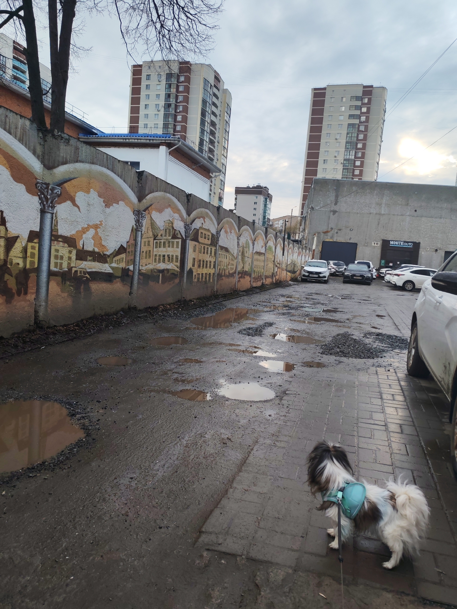 The image depicts an alleyway in Izhevsk, Russia. A small dog on a leash is standing on a brick walkway. The alley is dilapidated with numerous puddles and gravel-filled potholes. A concrete wall adorned with a mural depicting a European-style cityscape runs along the left side of the alley. Several cars are parked in the background, adjacent to a gray concrete building with the sign "WHITEAUTO" visible. Two tall apartment buildings are visible in the background behind the wall. The sky is overcast.