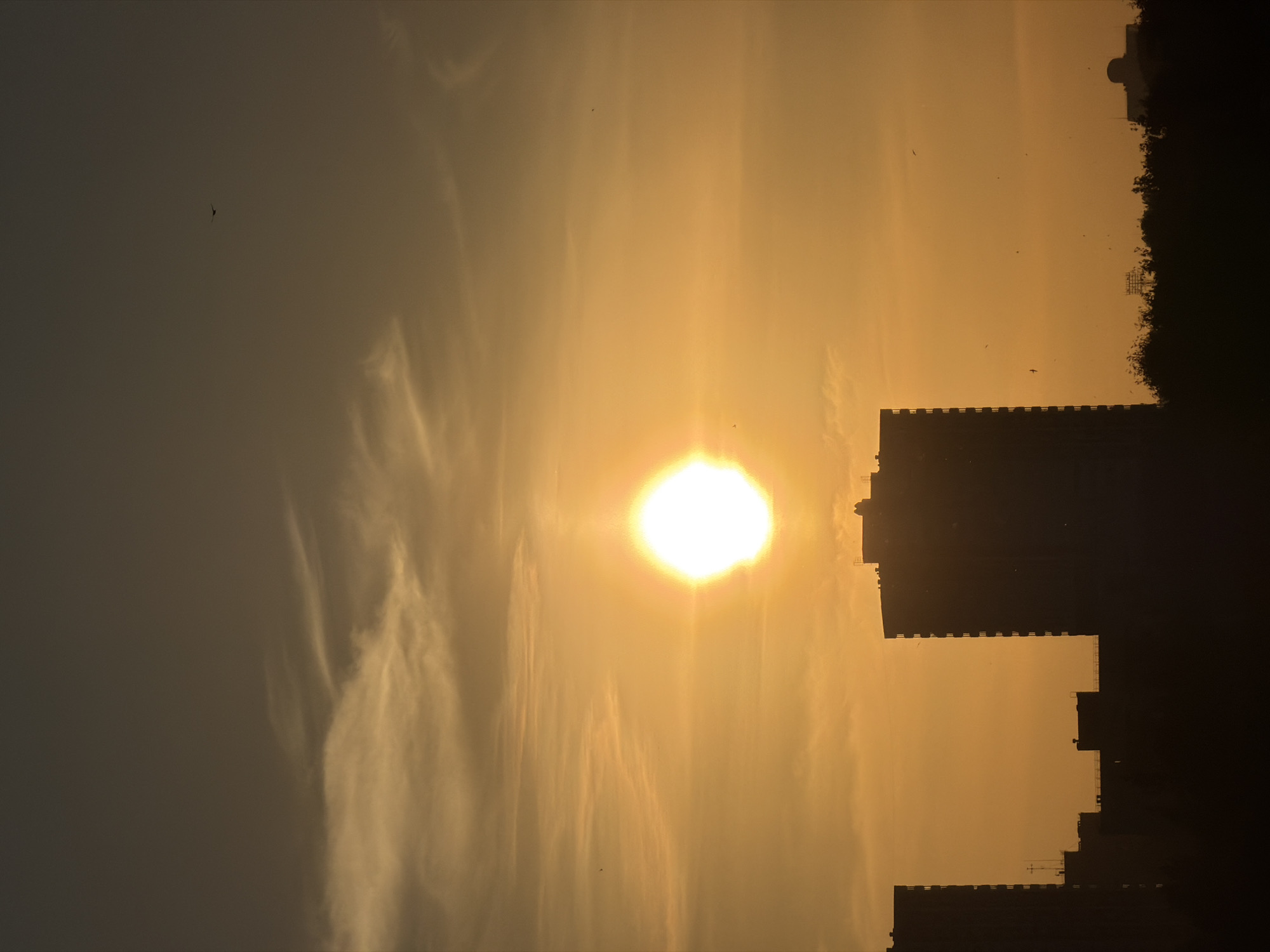 The image depicts a cityscape silhouette against a golden sunset. The sun is centrally located, casting a bright light that fades into the surrounding sky. Silhouetted buildings with varying heights and architectural details dominate the right side of the frame, suggesting an urban environment. The sky exhibits a gradient of color, ranging from a darker hue on the left to a lighter, golden tone near the sun. A few small dark objects, possibly birds, are visible in the sky. Wispy clouds add texture to the scene.