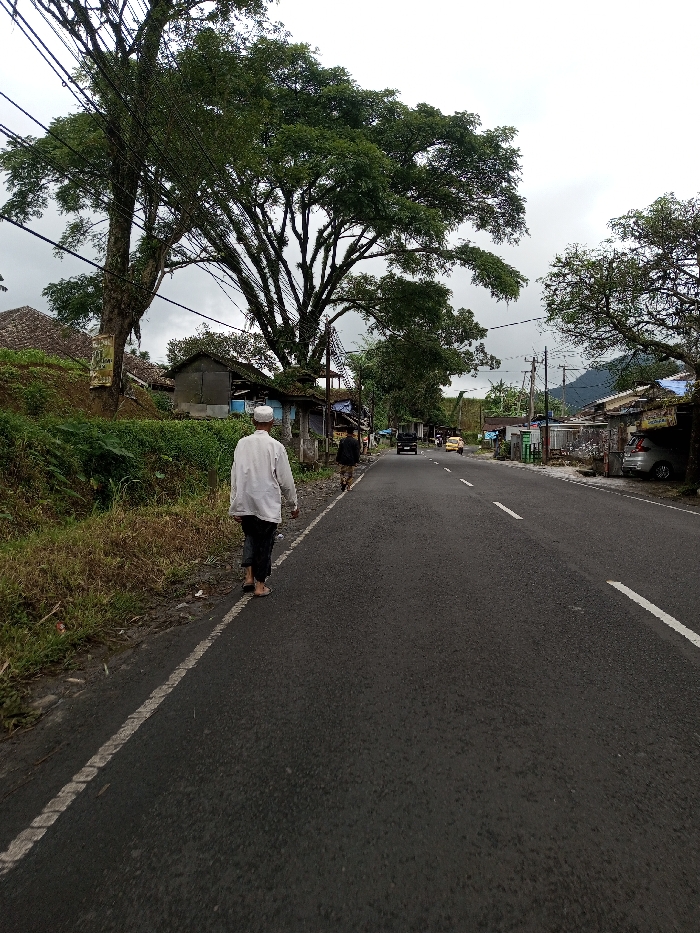 The image depicts a rural or semi-urban road in Serpang Shalli, Bhutan, under an overcast sky. In the immediate foreground, a male individual, viewed from behind, walks away from the viewer along the left edge of a two-lane asphalt road. He wears a white long-sleeved top, dark trousers, and a white skullcap, with his feet appearing bare or in sandals. A second male individual in dark clothing is visible further down the road, also walking away on the left side. The road features a solid white line on its left edge and a dashed white centerline.
To the left of the road, a dense embankment of overgrown grass and small bushes rises, topped by several large, mature trees with extensive green foliage. Multiple utility lines are strung through the branches of the largest tree on the left. Behind the vegetation, rustic-looking buildings with dark roofs are visible. On the right side of the road, a succession of buildings, some appearing residential, line the thoroughfare, with utility poles and wires running alongside.
Vehicles are present in the mid-ground, including a dark SUV or pickup truck and a yellow vehicle, both moving away from the viewer. A silver car is parked on the far right. Distant mountains or hills are visible on the horizon, beneath the cloudy sky.
