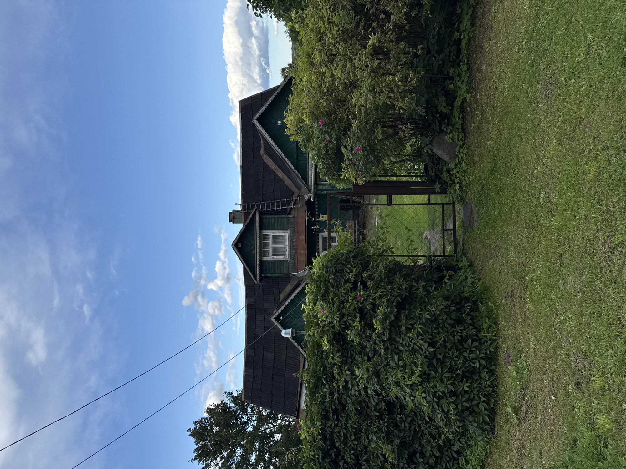 A two-story, weathered green wooden house with a dark, corrugated roof is partially obscured by dense, dark green foliage and a rusty metal gate. The house features white trim around its windows and decorative woodwork along the eaves. A single window with white panes is visible on the upper story. A ladder leans against the roof. The house sits in a grassy yard with a large rock placed near the bushes. Power lines stretch across the bright blue sky, which is dotted with fluffy white clouds. The scene appears to be in a rural or suburban area, possibly in Krasnoye Selo, Russia, given the architectural style and vegetation.