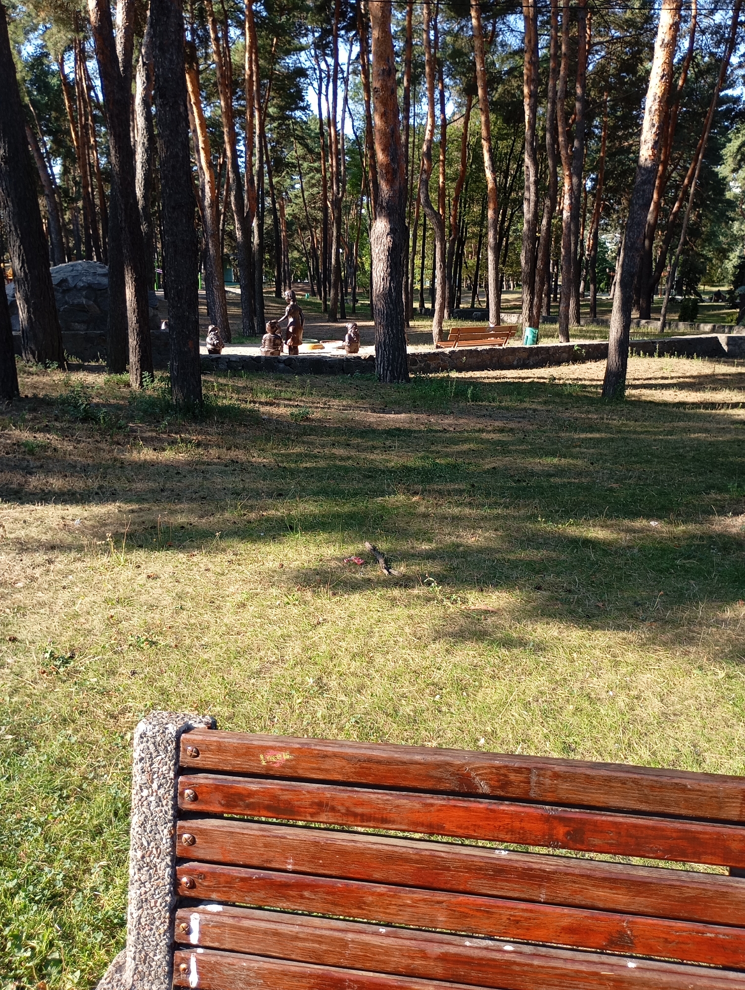This image shows a park with many tall pine trees. In the background, there are some small sculptures of people. In the foreground, there is a wooden bench with a concrete base. The ground is covered with grass and fallen pine cones. The sun is shining, casting shadows on the grass. This park is located in the city of Horishni Plavni, Ukraine.