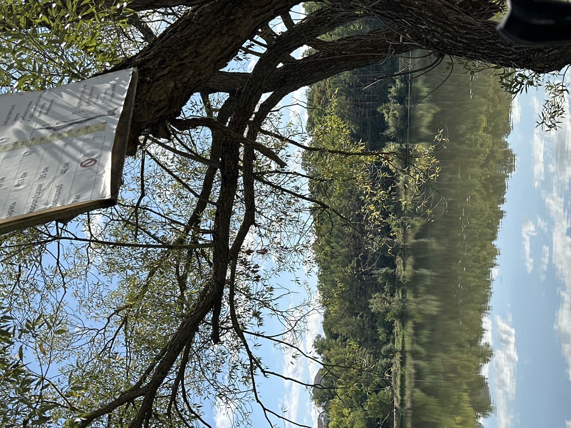The image depicts a serene lakeside scene, likely in or near the city of Makiv, Ukraine, given its pastoral and natural setting. A large, mature tree with dense foliage dominates the foreground, its branches extending over the calm water. Suspended from one of the branches is a sign, possibly a notice or regulation, with some text and a measurement scale. The lake itself is a prominent feature, its surface reflecting the blue sky, scattered clouds, and the surrounding lush green forest. The opposite bank of the lake is lined with a dense growth of trees, creating a natural barrier and a sense of untouched wilderness. In the distance, some buildings are visible on the elevated bank, suggesting the proximity of human habitation, possibly the city of Makiv. The overall atmosphere is peaceful and tranquil, capturing a moment of natural beauty.