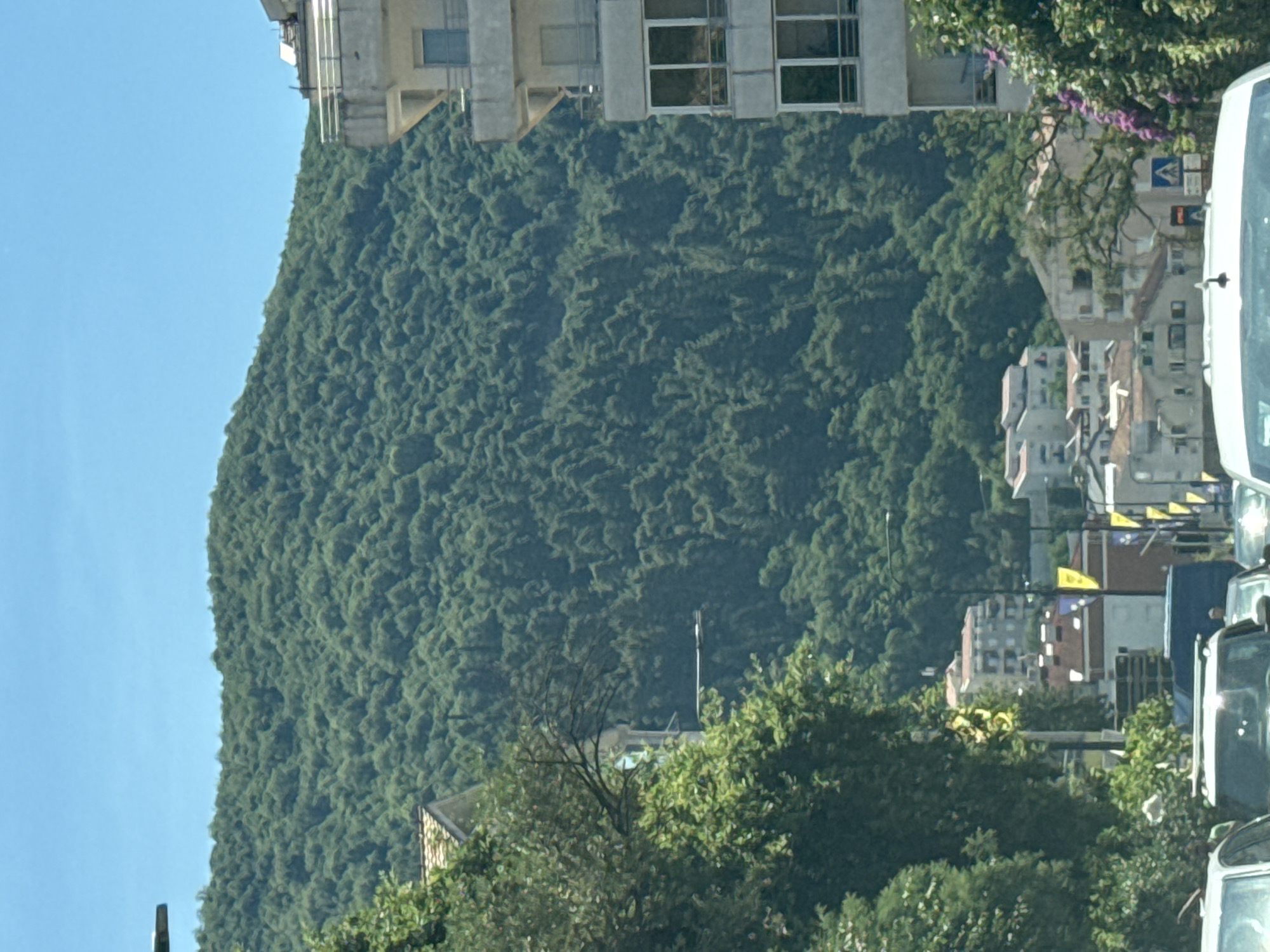 The image shows a street scene in Budva, Montenegro, with a densely forested mountain rising in the background under a clear blue sky. In the foreground, several cars are visible, suggesting a traffic scenario. To the right, a multi-story building with balconies and windows is prominently featured, and to the left, trees and vegetation obscure parts of a building. The middle ground reveals more buildings of varying heights and architectural styles, characteristic of a residential or urban area. Banners and street signs are also present, indicating the presence of infrastructure and public spaces. The overall impression is a sunny day in a coastal city with a significant natural landscape.