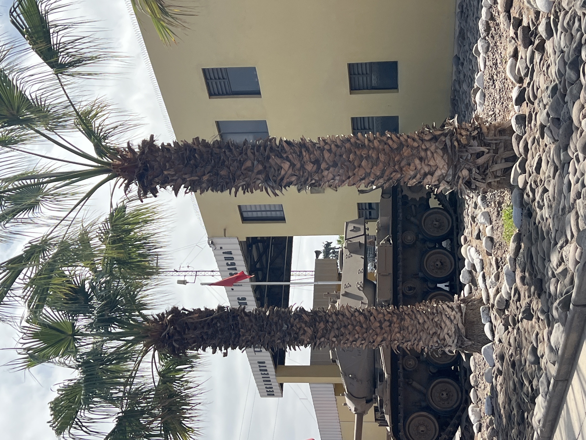 The image shows a military tank on display in Arica, Chile, positioned between two palm trees. The tank's treads are visible, and it is placed near a building with several windows. The ground surrounding the display is covered with rounded river stones. A sign with Spanish text and a red flag are partly visible in the background, indicating this is a military installation or memorial site within the city. The scene is photographed during daylight hours, under cloudy skies.