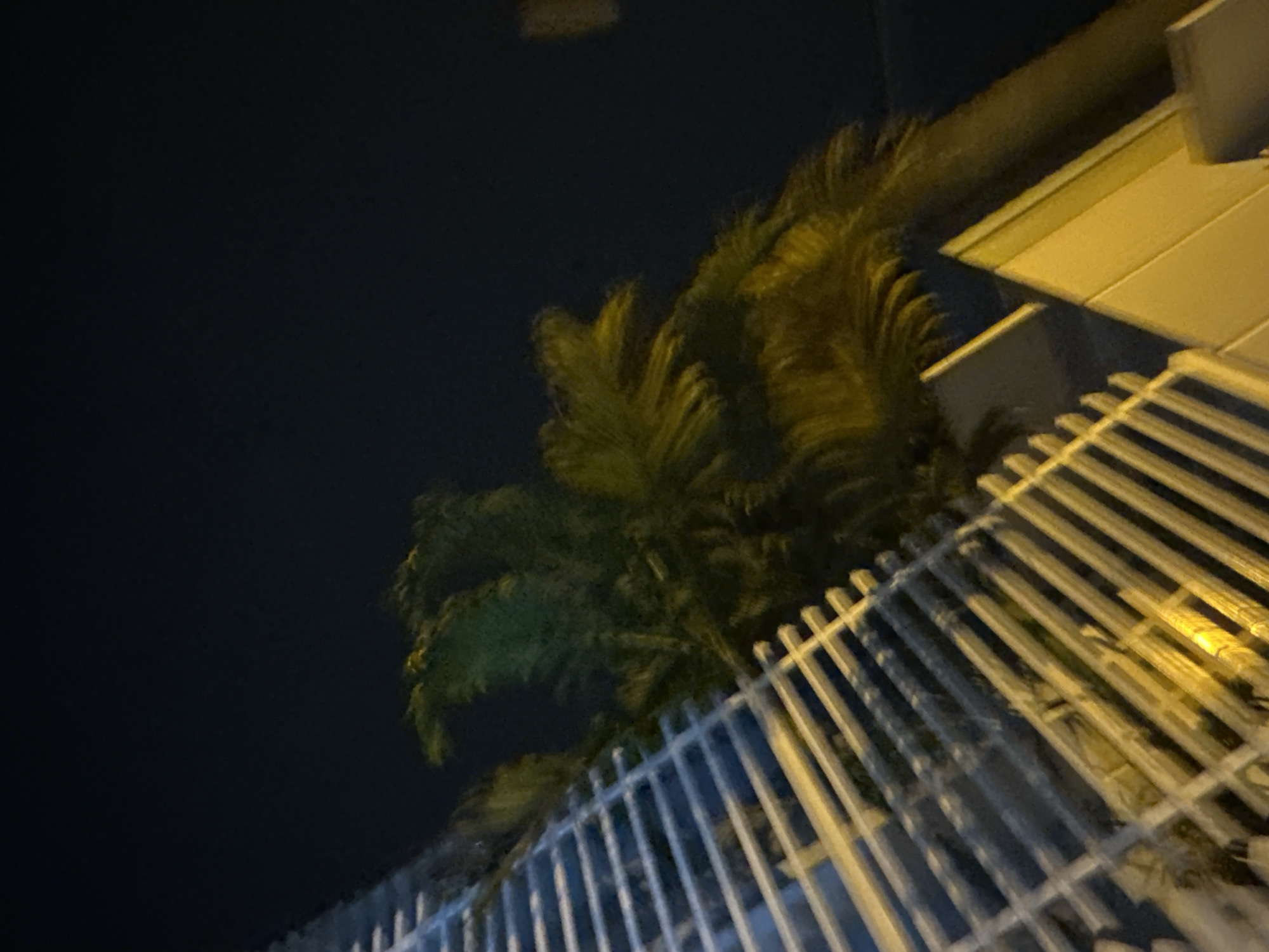 The image shows a night scene in Bac Nha Trang Ward, Vietnam. A metal fence runs diagonally across the lower right portion of the image. Behind the fence, a palm tree is visible. In the upper right, a building or structure is illuminated. The rest of the image is dark.