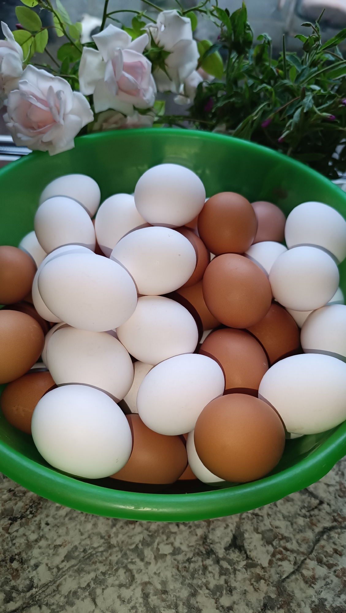 A close-up, overhead shot shows a bright green bowl filled with a mixture of white and brown eggs. The eggs are a mix of colors, with some being pure white and others a light brown. The bowl is positioned on a speckled, gray countertop. In the background, a cluster of pale pink roses and green foliage is visible, suggesting a domestic or garden setting. The image is well-lit, with natural light filtering in from the side, casting subtle shadows. There is no indication of the specific location within the city of Karsha, Russia, or any people present in the scene.
