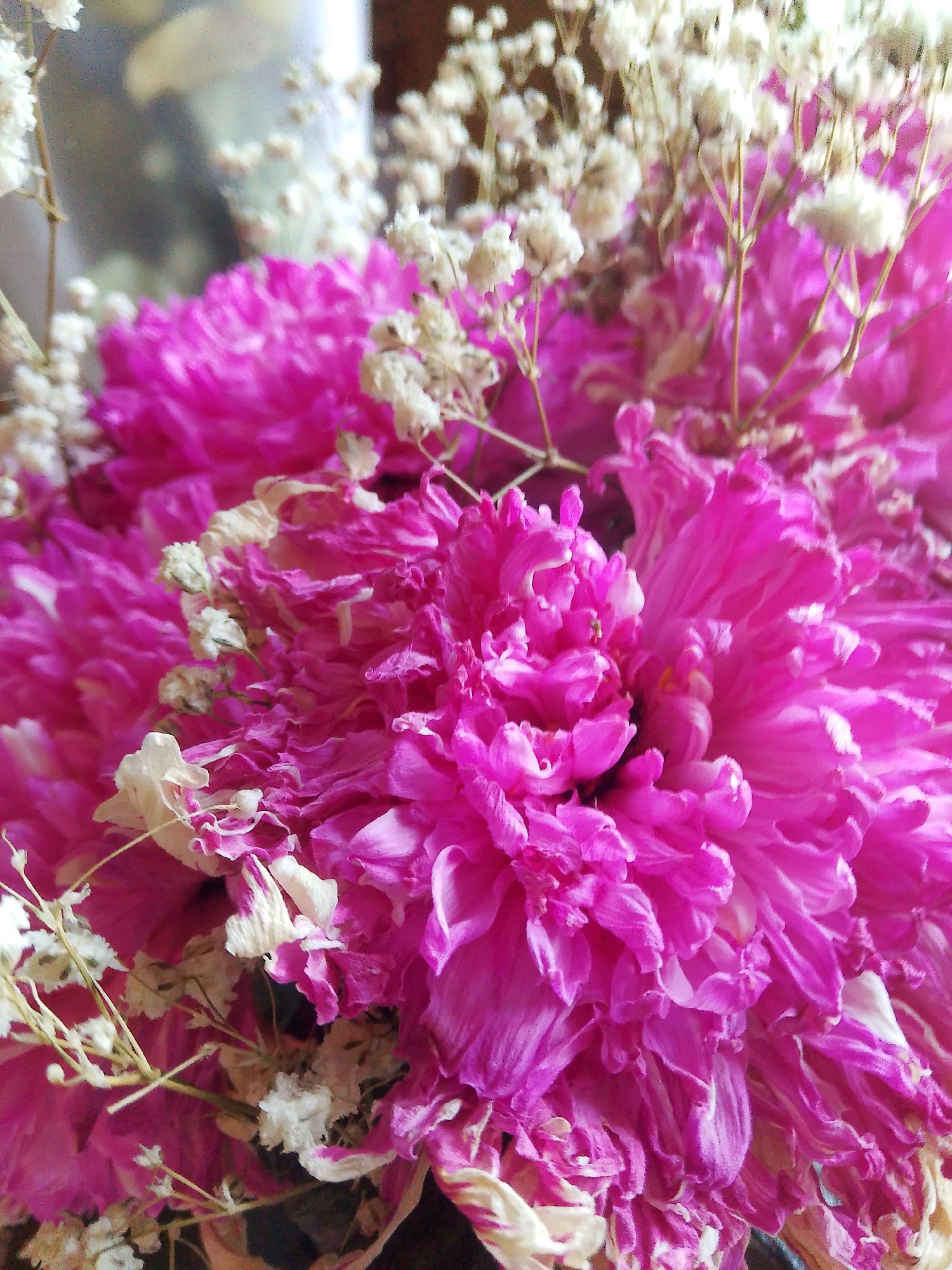 The image shows a close-up of a bouquet of vibrant pink flowers, possibly peonies or chrysanthemums, interspersed with delicate white baby's breath. Some of the white flowers appear to be dried. The petals of the pink flowers are layered and ruffled, creating a textured and lush appearance. The lighting suggests an indoor setting, potentially a home or a florist's shop. The background is softly blurred, with hints of brown and green, indicating a natural or rustic ambiance. The image does not contain any explicit information about the city of Хрестівка, Ukraine, nor does it depict any people, actions, or interactions.