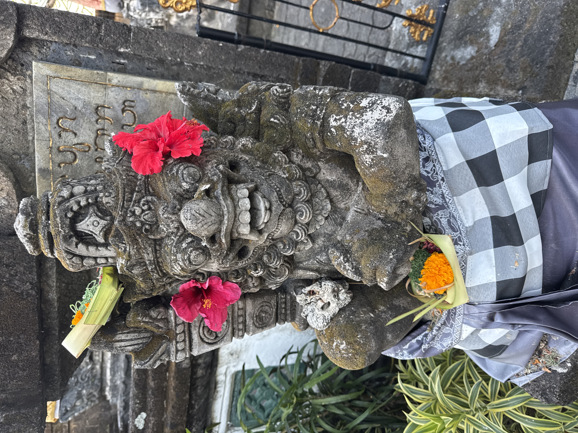An outdoor, eye-level, medium shot captures a moss-covered stone statue of a fearsome deity, positioned in front of a weathered stone wall inscribed with Balinese script. The statue, adorned with a black and white checkered sarong and a purple sash, holds small woven leaf offerings filled with flowers and greenery in its hands and on its head. Two vibrant pink hibiscus flowers are tucked into the statue's ears. Green foliage is visible to the left of the statue, and a black metal gate with gold ornamentation is to its right. The scene is located in Kuta Selatan, Indonesia.