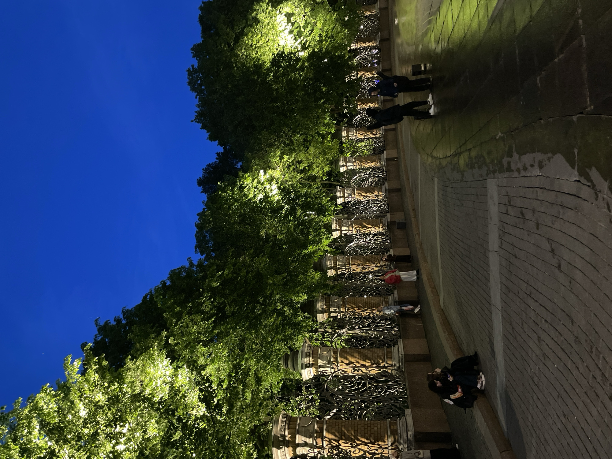 The image depicts an outdoor urban scene at twilight or night, characterized by a deep blue sky and artificial illumination. The overall composition shows a tree-lined street or promenade alongside a building or wall.
On the left side of the frame, a dense canopy of large, leafy trees is brightly lit from below by unseen artificial lights, creating a vibrant green glow against the dark sky. The sky itself is a clear, deep blue, with a faint crescent moon visible towards the upper left.
Running parallel to the trees is a structure featuring a series of ornate, dark metal railings or fences. These railings are mounted on decorative pedestals or pillars, behind which a brick or stone wall can be seen. The intricate patterns of the ironwork are prominent under the artificial light.
The ground is paved, likely with cobblestones or large flagstones, and appears wet or reflective in various areas, suggesting recent rain or dampness. Reflections of the illuminated trees and lights are visible on the glossy surface of the pavement.
Several people are present in the scene. In the foreground, a group of approximately three individuals are seated or huddled together on a raised section or step of the pavement. Their faces are not discernible due to the low light. One person in this group has a red item, possibly a bag or jacket, near them. Further along the pathway, two other individuals are standing, dressed in dark clothing, with one wearing noticeable white sneakers. Another faint figure is visible in the distance near the railings.
There is no specific event overtly taking place; the people appear to be casually occupying the public space. No discernible text is visible anywhere in the image. The setting conveys a calm, somewhat serene nighttime atmosphere in an urban environment, possibly in Russia given the context.