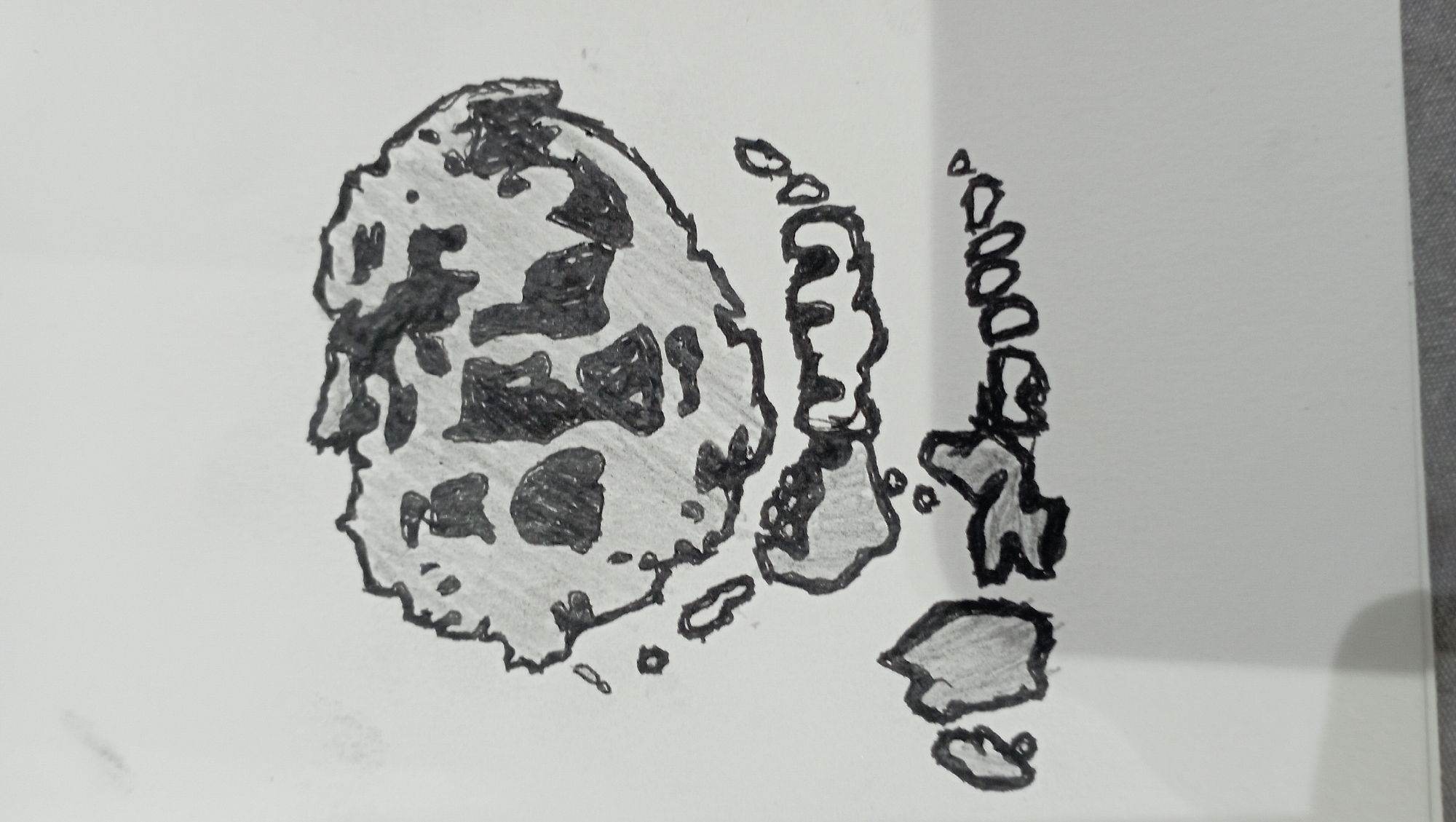 The image is a black and white sketch of what appears to be a map. The largest landmass on the left has a mottled pattern. To the right of this landmass is a chain of smaller islands or land features, some separated by stretches of water. Further to the right is a linear arrangement of rounded shapes, possibly representing smaller islands or reefs.
Without additional information or context, it is not possible to confidently identify this location as Nha Trang Ward, Vietnam. The sketch would require further geographic analysis or comparison with official maps to determine a potential match.