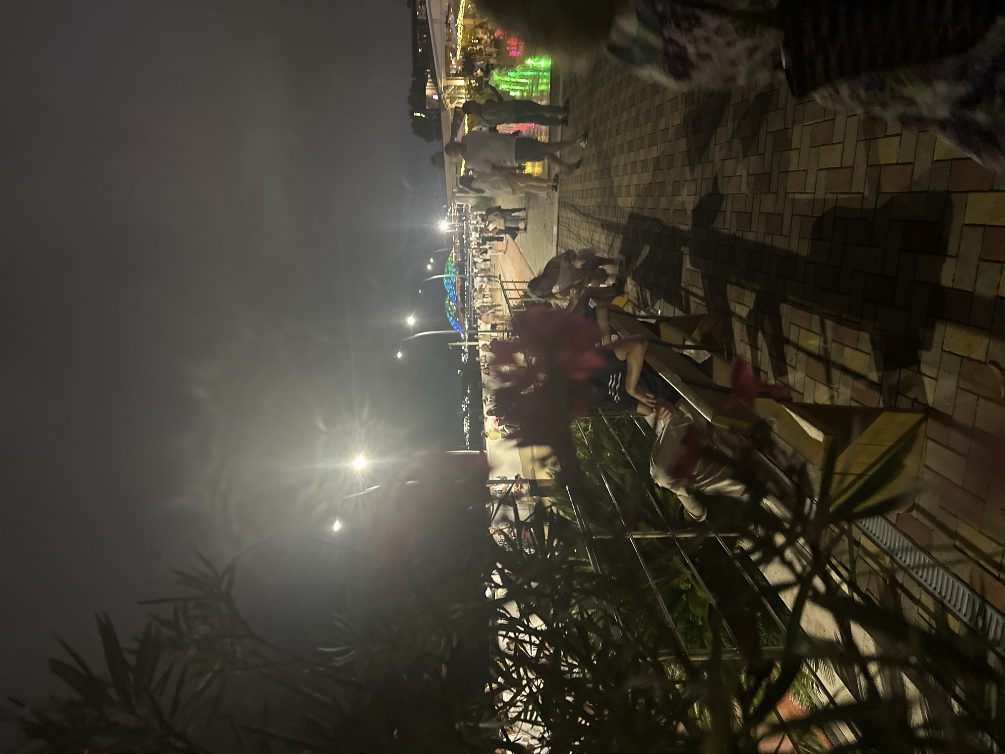 A nighttime, slightly blurry, full shot of a paved promenade in Sirius, Russia, captures a lively atmosphere. The promenade is illuminated by streetlights and the colorful lights of a fountain, creating a warm and inviting ambiance. On the left side, dense foliage casts shadows on the walkway, obscuring the view of some people seated on a bench. Further down the promenade, a crowd of people strolls, with some interacting with a vibrant, multi-colored fountain. Buildings with illuminated windows line the opposite side of the promenade, suggesting a commercial or residential area. The overall impression is one of a bustling and engaging urban environment.