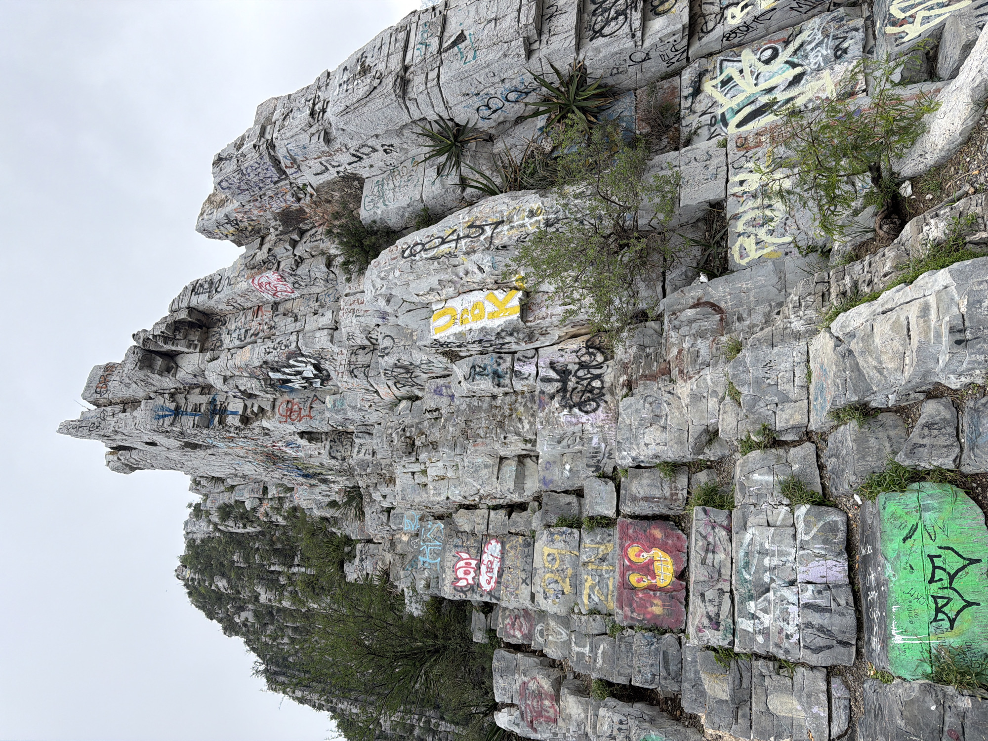 The image captures a massive, rugged cliff face, heavily covered in colorful graffiti, against an overcast, light gray sky. The cliff, composed of large, stacked gray rock formations, rises steeply, with various ledges and crevices.
Numerous patches of vibrant spray paint adorn nearly every visible rock surface. These include large, block-lettered words, intricate tags, abstract symbols, and some stylized drawings. Visible text and designs include a prominent yellow block with black letters that appear to spell "DIOX" or "DIOS." Further down, a reddish-orange block features yellow, stylized figures with round heads and simple features, while an adjacent bright green block displays two black, symmetrical designs resembling stylized faces or characters. Other visible text fragments and dates, such as "2021" and various illegible names or acronyms, are scattered throughout in colors like yellow, red, white, black, purple, and blue.
Sparse vegetation, including small bushes and agave-like plants, grows from the rock crevices and ledges, adding hints of green to the scene. The time of day is daytime, indicated by the bright, diffused light from the overcast sky. No people are visible. The scene depicts a natural rock formation in Santa Catarina, Mexico, transformed into a canvas by extensive human artistic expression.