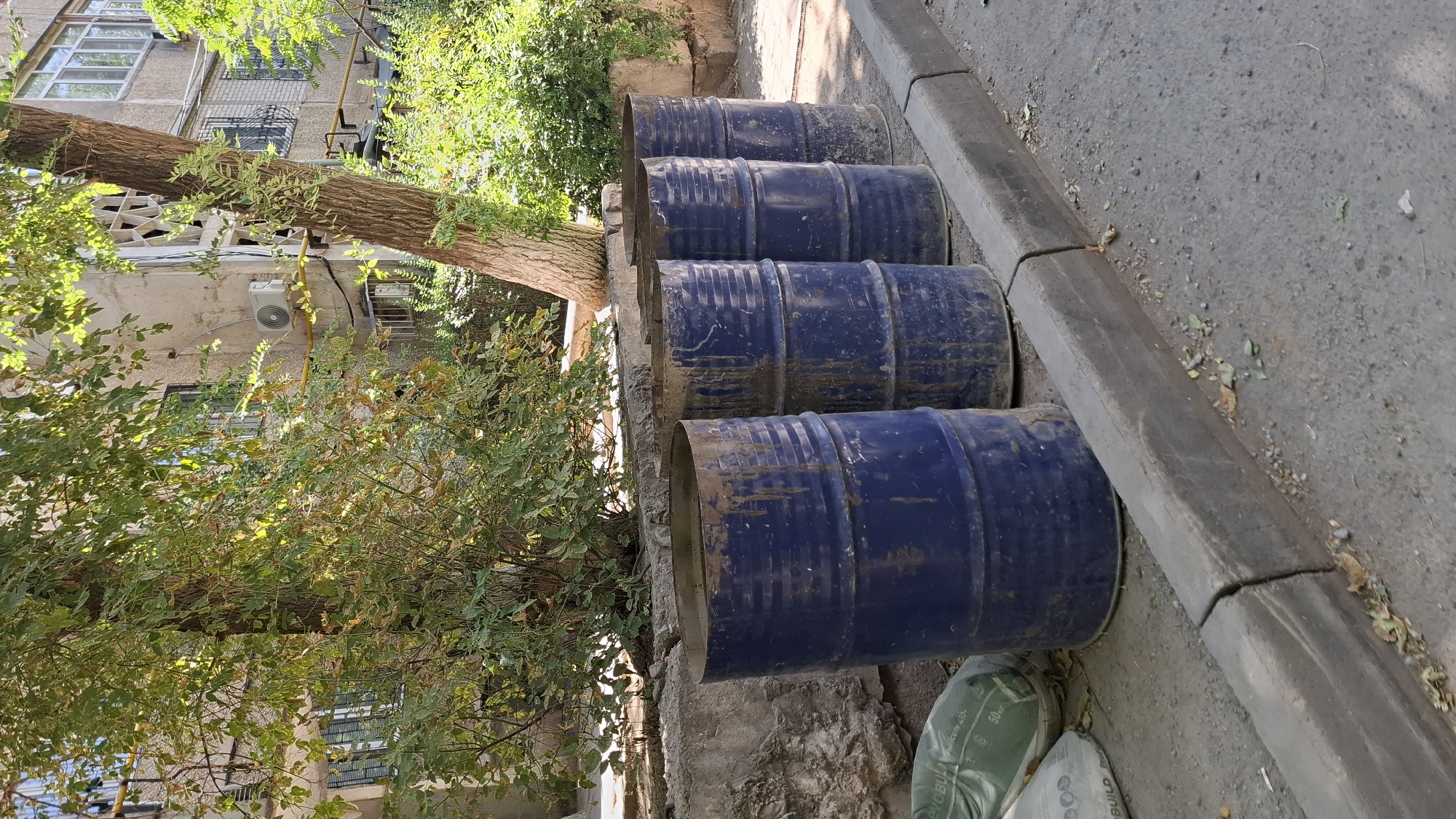 A row of four blue, metal barrels, some appearing weathered and stained, are positioned on an asphalt surface adjacent to a concrete curb in a city environment. Behind the barrels, a concrete retaining wall runs horizontally, topped with lush green foliage. A large tree with rough bark and dappled sunlight filtering through its leaves stands prominently behind the barrels and wall. In the background, a multi-story building with visible windows and an air conditioning unit is partially obscured by vegetation and the tree. The scene suggests an outdoor urban setting, possibly in Shymkent, Kazakhstan, with elements of both natural growth and man-made structures.