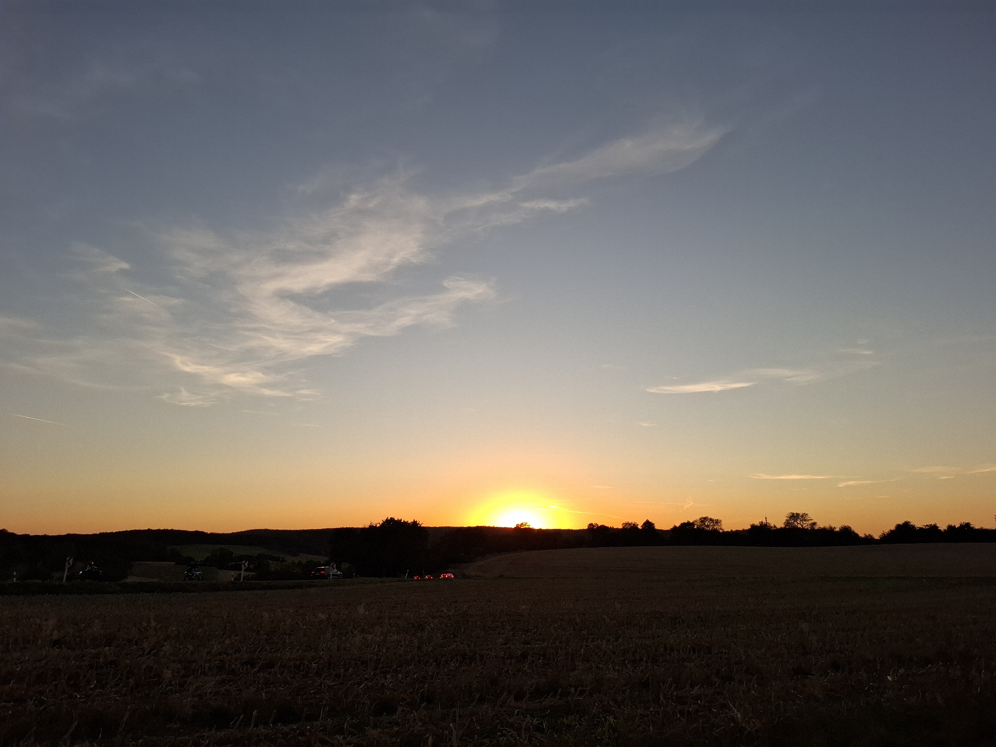 The image depicts a rural sunset scene in Sinsheim, Germany. The sun is low on the horizon, casting a warm orange glow across the sky and illuminating thin, wispy clouds. The foreground is dominated by a dark, harvested field, with the stubble of crops visible. Behind the field, a line of trees forms a dark silhouette against the vibrant sky. In the middle ground, several vehicles are parked along a road or field edge, some with their headlights on. The overall impression is one of tranquility and natural beauty, characteristic of a German countryside landscape during sunset.