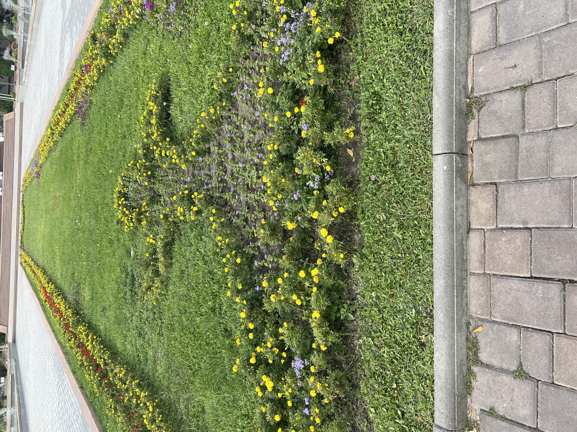The image shows a landscaped area with a grass lawn featuring flower beds. The flower beds are planted with yellow and purple flowers, and are arranged in a symmetrical pattern leading away from the viewer. In the center of the lawn, a large cross shape is formed by the flowers. The lawn is bordered by a paved walkway and a concrete curb. In the background, a staircase and a building are visible. The scene appears to be in a public park or garden.