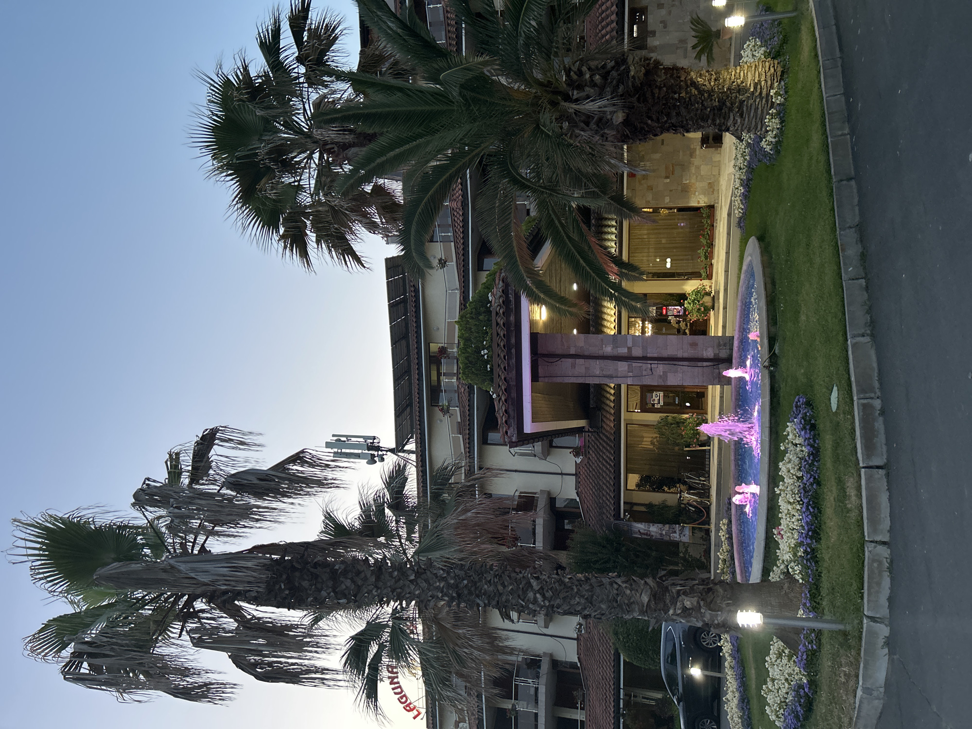 The image shows a hotel entrance with palm trees and a fountain. The setting appears to be a resort or a hotel in a tropical or Mediterranean climate.
The main subjects are two large palm trees, one in the foreground and another behind it. The one in the foreground is large and mature with a thick trunk and fronds. The second palm tree is to the right of the first and is also large with green fronds. Between the palm trees, there is a building that appears to be the entrance to a hotel. The building has a modern architectural style with large windows and balconies. In front of the building, there is a fountain with water illuminated by pink and purple lights. The fountain is surrounded by a well-maintained lawn and flower beds with purple and white flowers.
The activity taking place is not explicitly shown, but the scene suggests a peaceful evening at a resort. The lighting from the fountain and lamps on the pathway indicates that it is either dusk or evening. The sky is a clear, pale blue, suggesting good weather.
Notable details include the vibrant colors of the fountain lights and the lush greenery of the lawn and flowers. The presence of the palm trees and the fountain strongly suggests a vacation destination. There is some visible text on a sign on the left side of the building, partially obscured by the palm tree. It appears to read "LAGUNA" in red letters. There are also some lights visible inside the hotel, and some outdoor lights illuminating the pathway and the garden.
The overall emotion conveyed by the image is one of tranquility and relaxation, typical of a vacation setting.
