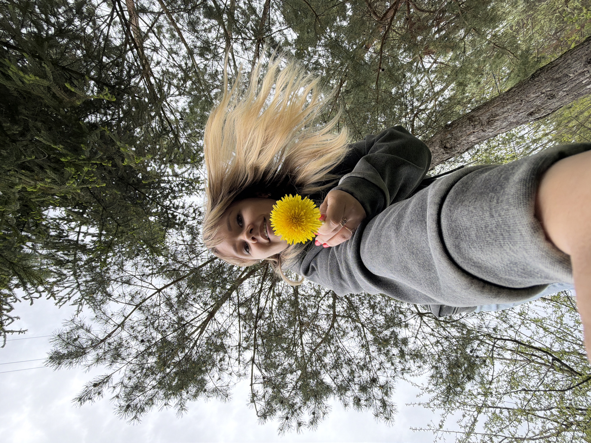 A young woman with long blonde hair is holding a yellow dandelion flower. She is smiling and looking at the camera. She is wearing a grey hooded sweatshirt. The image is taken from a low angle, looking up towards the trees and sky. Based on the tree types, the image appears to be taken in a forested area in Chaikovsky, Russia. The sky is overcast.