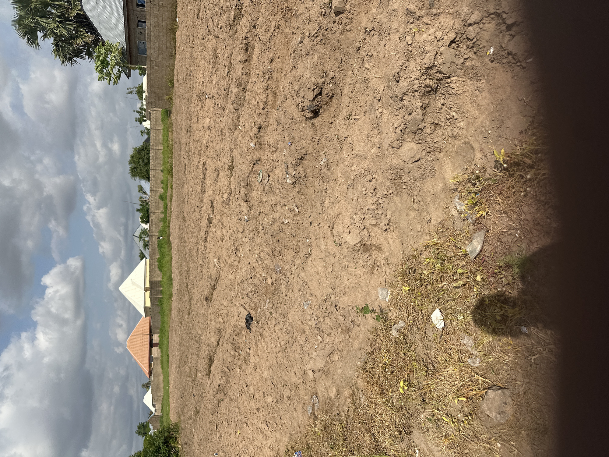 The media file depicts an outdoor scene, likely in Jalingo, Nigeria. The foreground is dominated by dry, brown soil, appearing recently disturbed or barren. Scattered on the ground are small pieces of debris, including plastic wrappers and what looks like a small, dark object, possibly an animal. The soil surface shows some unevenness and a few small stones. To the right of the frame, a patch of dry, yellowish grass is visible, also with scattered debris. A dark shadow, cast by an unseen object or person, covers the lower right portion of the image.
In the background, a low-rise building constructed with cinder blocks is visible, topped with a corrugated metal roof. Adjacent to this building, a concrete wall runs along the property line. Further in the distance, several other buildings with pitched roofs are scattered, some with white or reddish-brown roofing materials. Palm trees and other green vegetation are present, suggesting a tropical or subtropical climate. The sky is partly cloudy, with a mix of grey and white clouds against a bright sky, indicating daytime. There are no people or animals clearly identifiable as subjects in the image. The scene suggests a somewhat undeveloped or rural setting, possibly a construction site or a vacant plot of land. No visible text is present in the image.