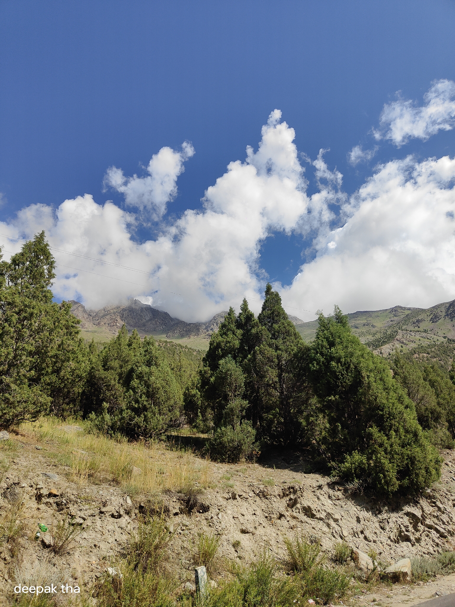 The image depicts a mountainous landscape with a clear blue sky dotted with white clouds. In the foreground, there is a slope covered with dry grass and shrubs, with some rocky outcrops. A cluster of evergreen trees, possibly cypress or pine, dominates the mid-ground. Behind the trees, the mountains rise, their peaks partially obscured by clouds and mist. Power lines are visible stretching across the scene in the distance. The overall impression is one of a serene and natural environment. The text "deepak tha" is visible in the lower left corner, likely a watermark or signature. There are no people or visible actions taking place in the image.