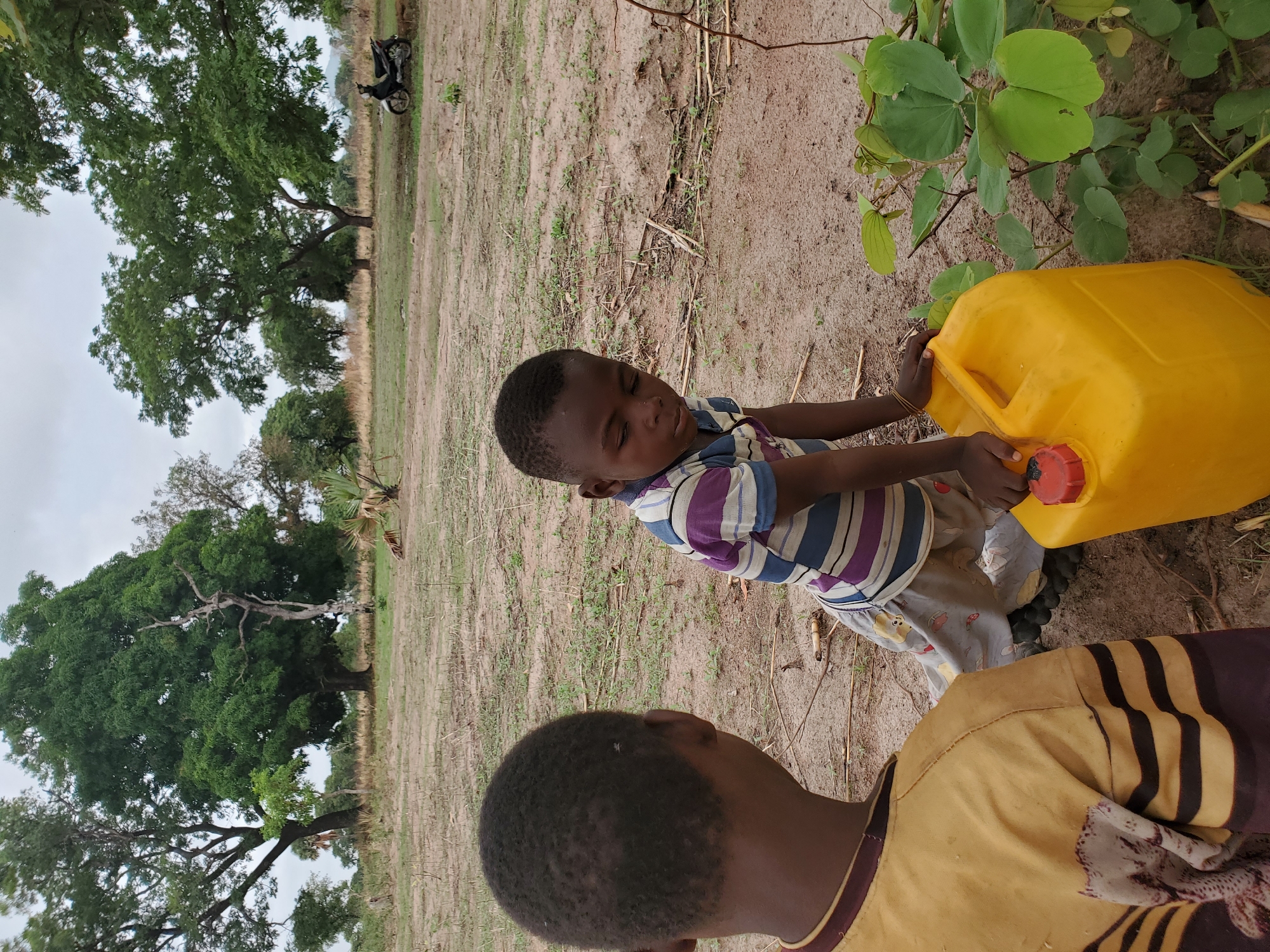 The image, taken in Mararaba, Nigeria, captures a daytime outdoor scene featuring a young child interacting with a large yellow jerrycan. The child, dressed in a striped t-shirt (purple, white, blue, black) and patterned pants, is focused on the jerrycan, holding its handle and a red screw cap with both hands, suggesting they are opening, closing, or preparing to move it. Only the back of another person's head and upper body, wearing a yellow and striped top, are visible in the foreground, facing away from the child.
The setting appears to be a dry, earthy area with sparse ground cover and some smaller green plants near the jerrycan. Several large, leafy green trees with wide canopies dominate the background on the left side of the frame. In the distant background, a dark motorcycle is parked on the bare ground. The sky is overcast, providing soft, diffused lighting, indicating either an overcast day or mid-morning/late afternoon. The scene depicts an everyday activity, likely related to water collection or transport in a rural or semi-rural environment. No visible text is present.