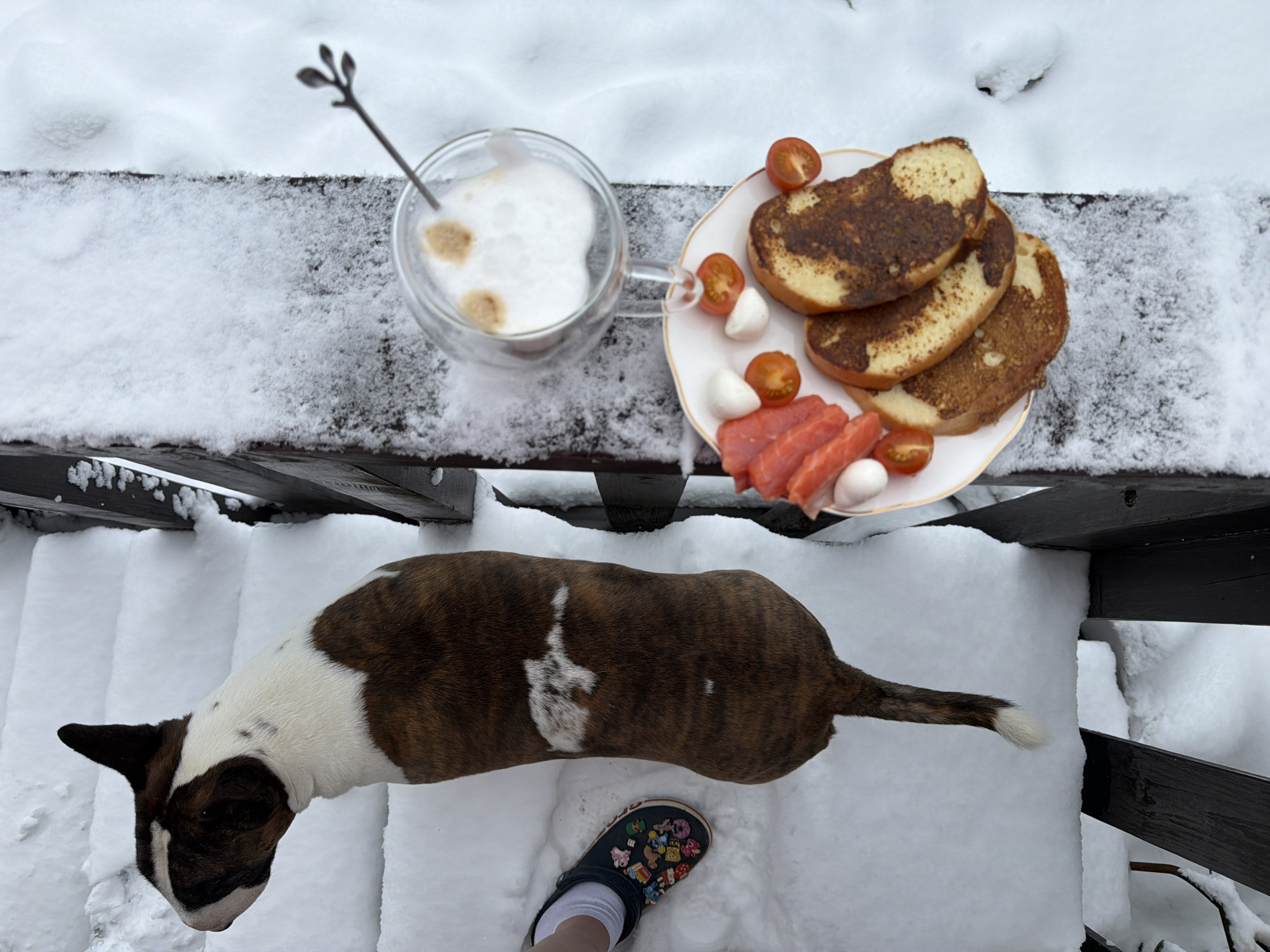 An eye-level, high-angle shot shows a snow-covered outdoor scene. On snow-dusted dark brown wood planks sits a clear mug containing a latte with a swizzle stick, and a white plate with gold trim holding toast slices, smoked salmon, cherry tomatoes, and mozzarella balls. Below these items, a brown-and-white Bull Terrier stands on snow-covered wood steps. A foot wearing a dark-colored clog with decorative pins is also visible on the steps. The scene is located in Chaikovsky, Russia.