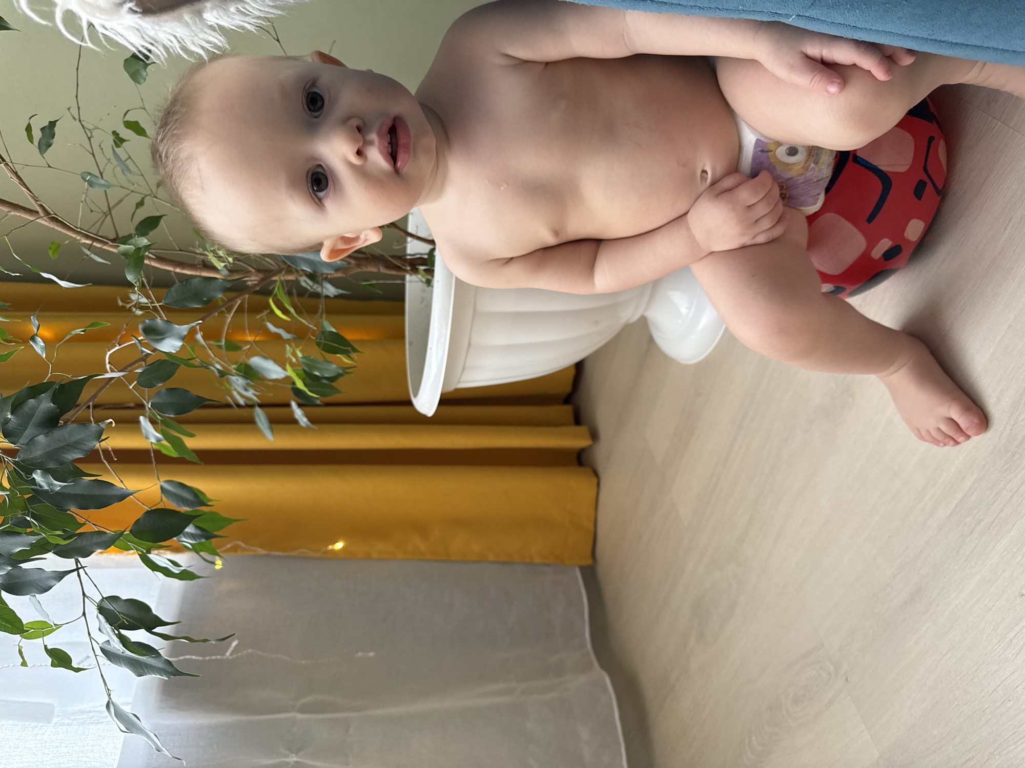 A baby in a diaper is sitting on a red and black ladybug-shaped object in a room in Chaikovsky, Russia. The baby's legs are bare, and the baby is looking at the camera. The room has a light-colored wooden floor, a yellow curtain, a white sheer curtain, and a houseplant in a white pot. There is a blue object partially visible in the background.