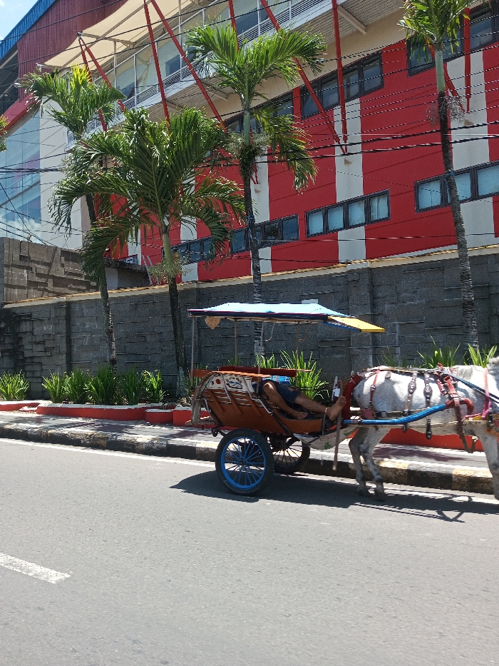 The scene depicts an urban street in Tagtse Tashidingkha, Bhutan, during daylight hours under clear conditions. A light-colored horse, fitted with a blue and red harness, stands to the right, attached to a brown wooden horse-drawn carriage. The carriage features blue-spoked wheels and a light blue canopy with a yellow rear section. One individual is lying prone inside the carriage, visible from the waist down, wearing dark blue shorts and bare feet, appearing to be asleep. The carriage rests on an asphalt road with a visible white dashed line and adjacent to a sidewalk with a black and yellow/white striped curb. Behind the sidewalk is a grey block wall, followed by green shrubbery in a planter. In the background, several tall palm trees stand before a large multi-story building. This building features a prominent red facade with vertical white stripes and multiple dark-paned windows arranged horizontally. An upper section of the building includes glass windows and a white awning structure with red support beams. Overhead, several dark power lines traverse the scene horizontally.