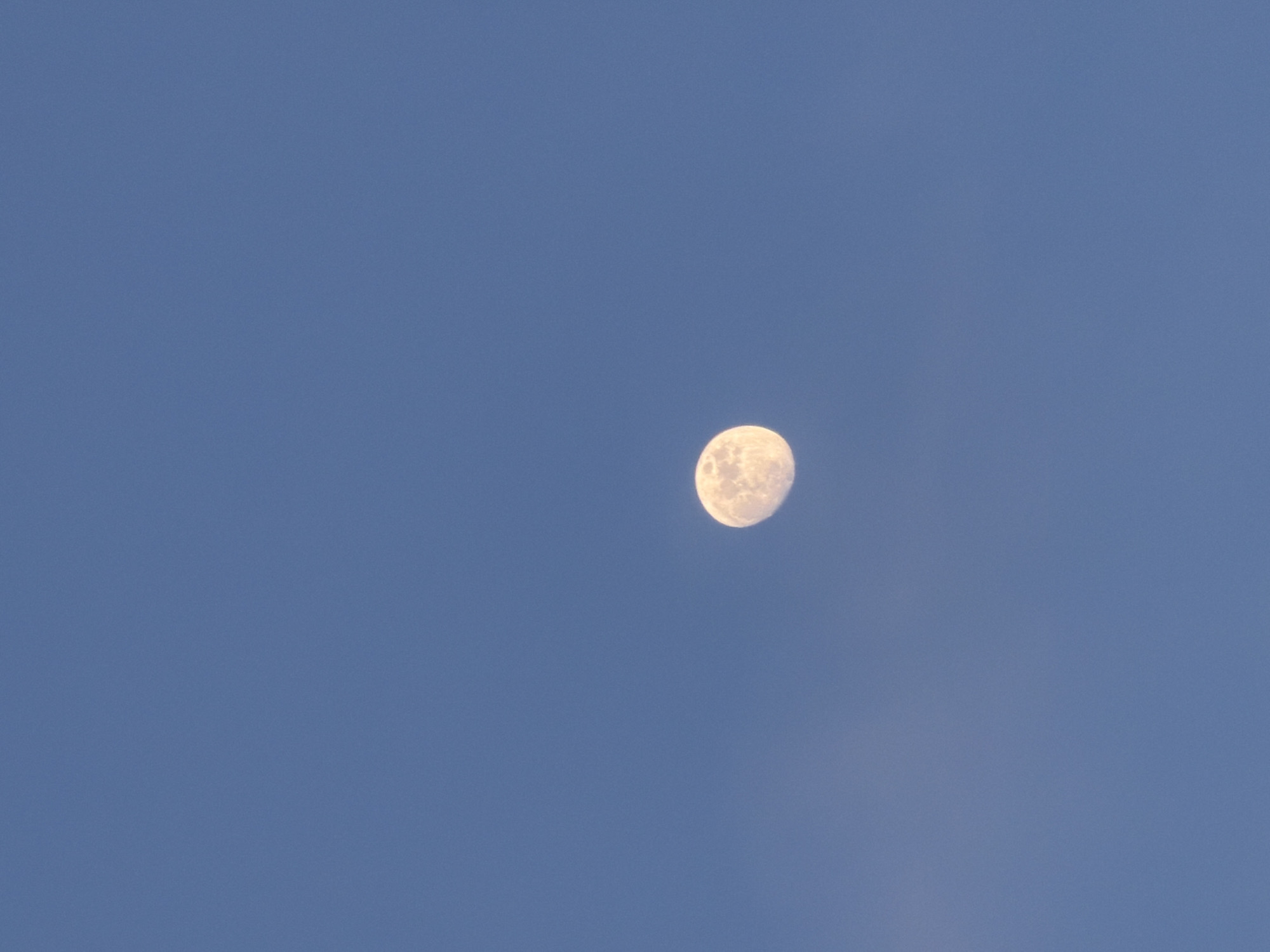The image displays a bright, near-full moon set against a clear, deep blue daytime or twilight sky. The moon is positioned slightly to the right of the frame's center and exhibits a yellowish-white color. Its surface details, including craters and darker maria, are visible, highlighting its textured appearance. The sky is largely cloudless, save for a very faint, wispy trace of atmospheric haze or thin cloud near the bottom right edge of the frame. The strong illumination of the moon against the blue sky suggests it was captured during daylight hours or early twilight. No people or other objects are visible in the scene. There is no specific activity or event taking place. No text is visible. The location context provided for the image is Sofia, Bulgaria.