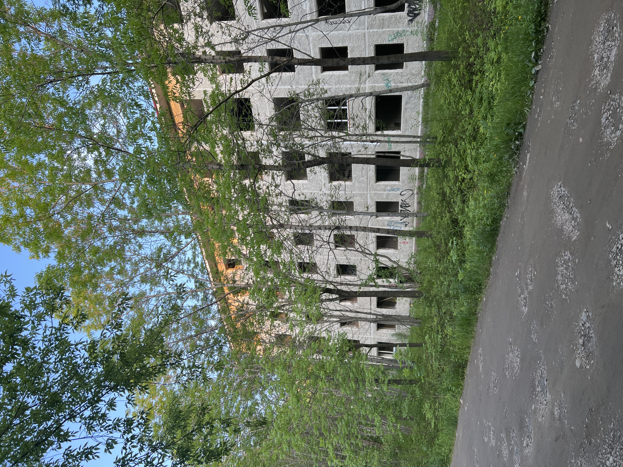 This image depicts a large, abandoned, multi-story concrete building in a state of disrepair. The building has many dark, empty window openings and appears to be under construction or partially demolished. Graffiti is visible on the building's facade. The building is surrounded by dense green foliage and numerous slender trees, many of which are in leaf, suggesting a temperate climate and likely springtime or summer. In the foreground, a rough, unpaved road or path is visible, with numerous potholes filled with small stones and water. The sky above is a clear, light blue. The overall impression is one of neglect and abandonment. The image is likely from the city of Irkutsk, Russia, given the architectural style and prevalence of similar abandoned structures in the region, often remnants of Soviet-era construction projects. There are no people or animals visible in the scene.
