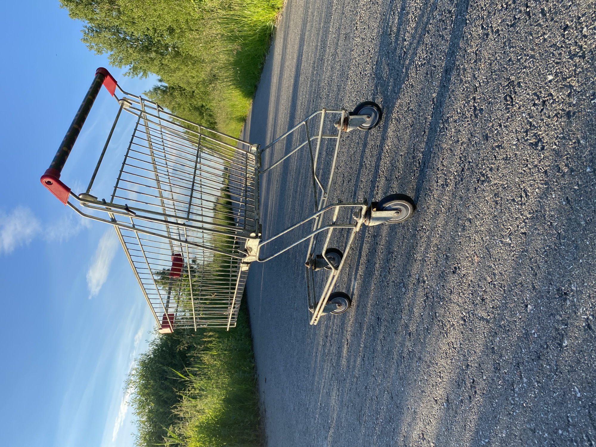 A lone shopping cart sits abandoned on an asphalt road in a rural area, possibly on the outskirts of the village of Gostitsy, Leningrad Oblast, Russia, given its unpaved surroundings and lack of urban infrastructure. The cart is made of metal with red plastic accents on its handles. It is positioned in the center of the road, which appears to be a two-lane asphalt path, suggesting it may be a disused or infrequently traveled road. The road is flanked by lush green vegetation, including tall grass and trees, indicative of a natural or semi-rural environment. The sky above is a clear blue with a few wispy white clouds, illuminated by the warm glow of what appears to be late afternoon or early evening sunlight, casting long shadows from the cart onto the road. The overall impression is one of stillness and abandonment.