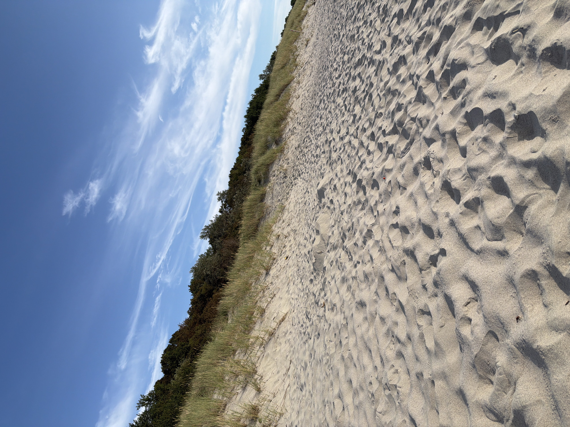 The image depicts a sandy incline leading up to a wooded area with green grass growing along the edge. The sand is textured with footprints and ripples. The sky above is a clear blue with wispy white clouds. The scene is devoid of people or any man-made structures, suggesting a natural landscape. The location is identified as Baltiysk, Russia.