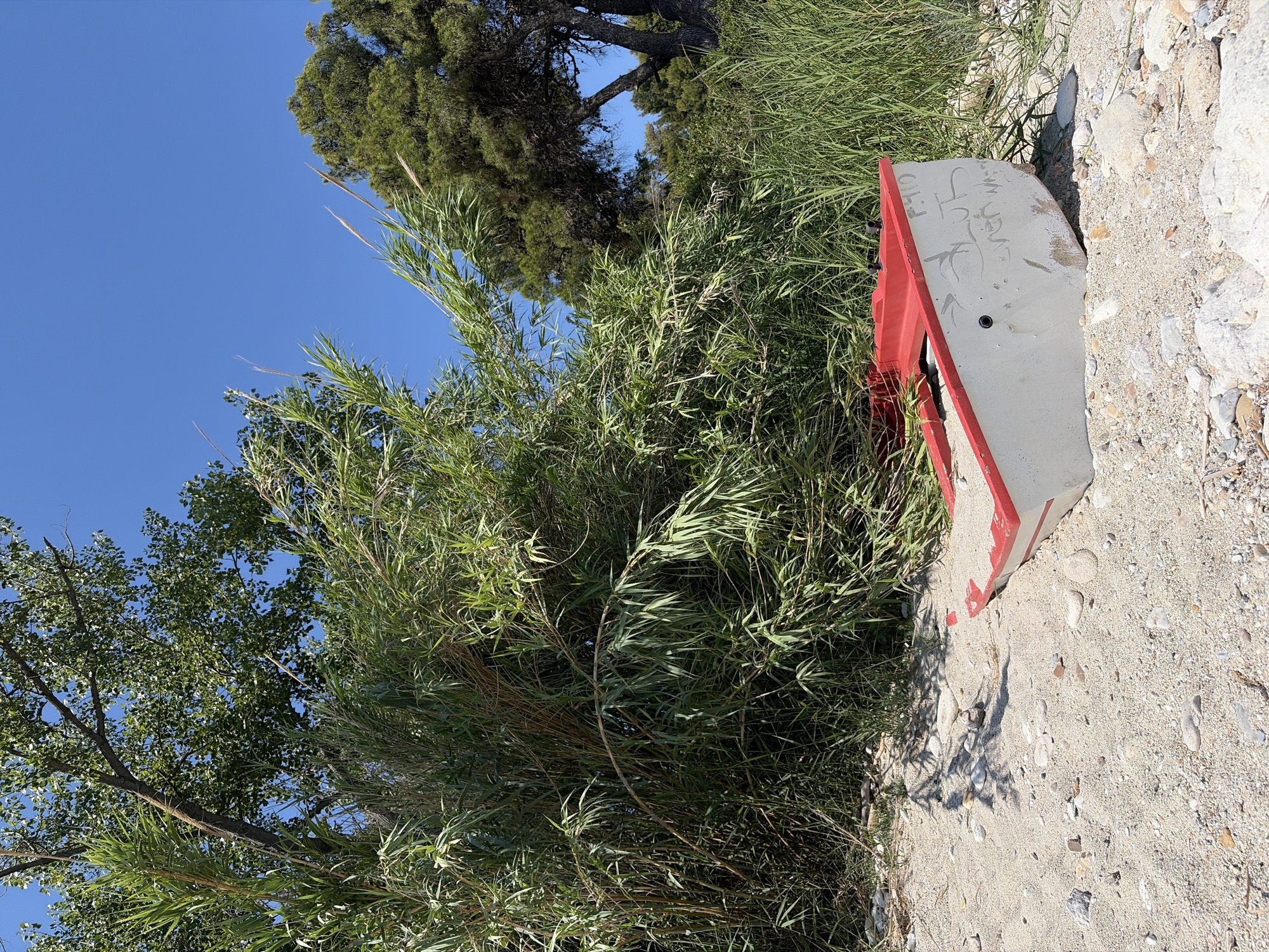 This media file depicts an outdoor scene with a clear blue sky and lush green vegetation, including trees and tall grasses. In the foreground, a red and white object, possibly a piece of discarded equipment or signage, lies on a sandy and rocky ground. The object appears to be weathered, with some graffiti or writing on its surface. The writing includes the characters "F.710" and some illegible words that appear to read "EVERYWHERE". The scene is bathed in sunlight, suggesting it is daytime, likely during fair weather. The setting appears to be a natural or semi-natural environment, possibly a roadside or a less-maintained area near a body of water, given the presence of reeds and sandy soil. There are no people visible in the image. The overall impression is one of a natural landscape with a touch of human impact in the form of discarded material.